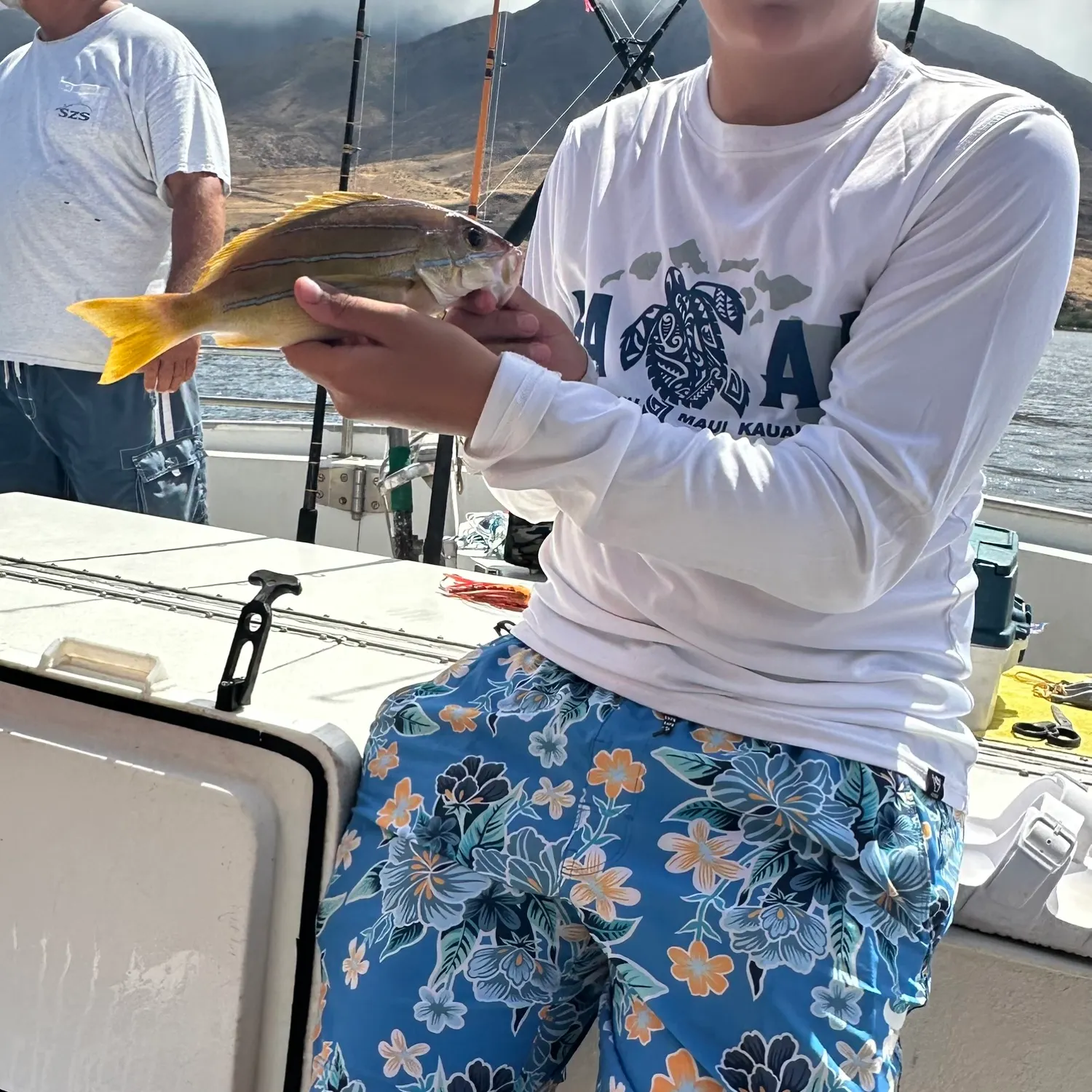 The most recent Common bluestripe snapper catches on Fishbrain
