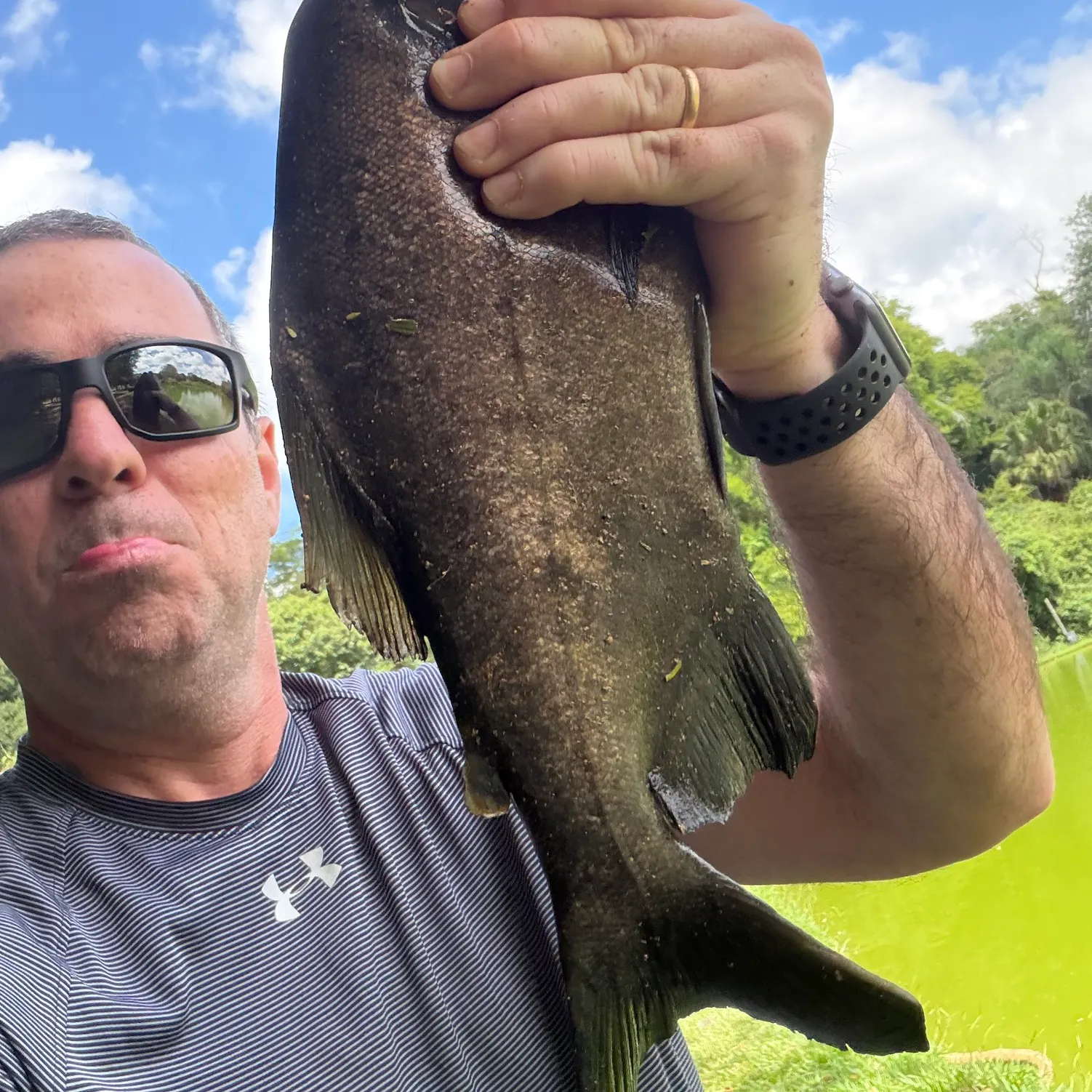 The most recent Black pacu catches on Fishbrain