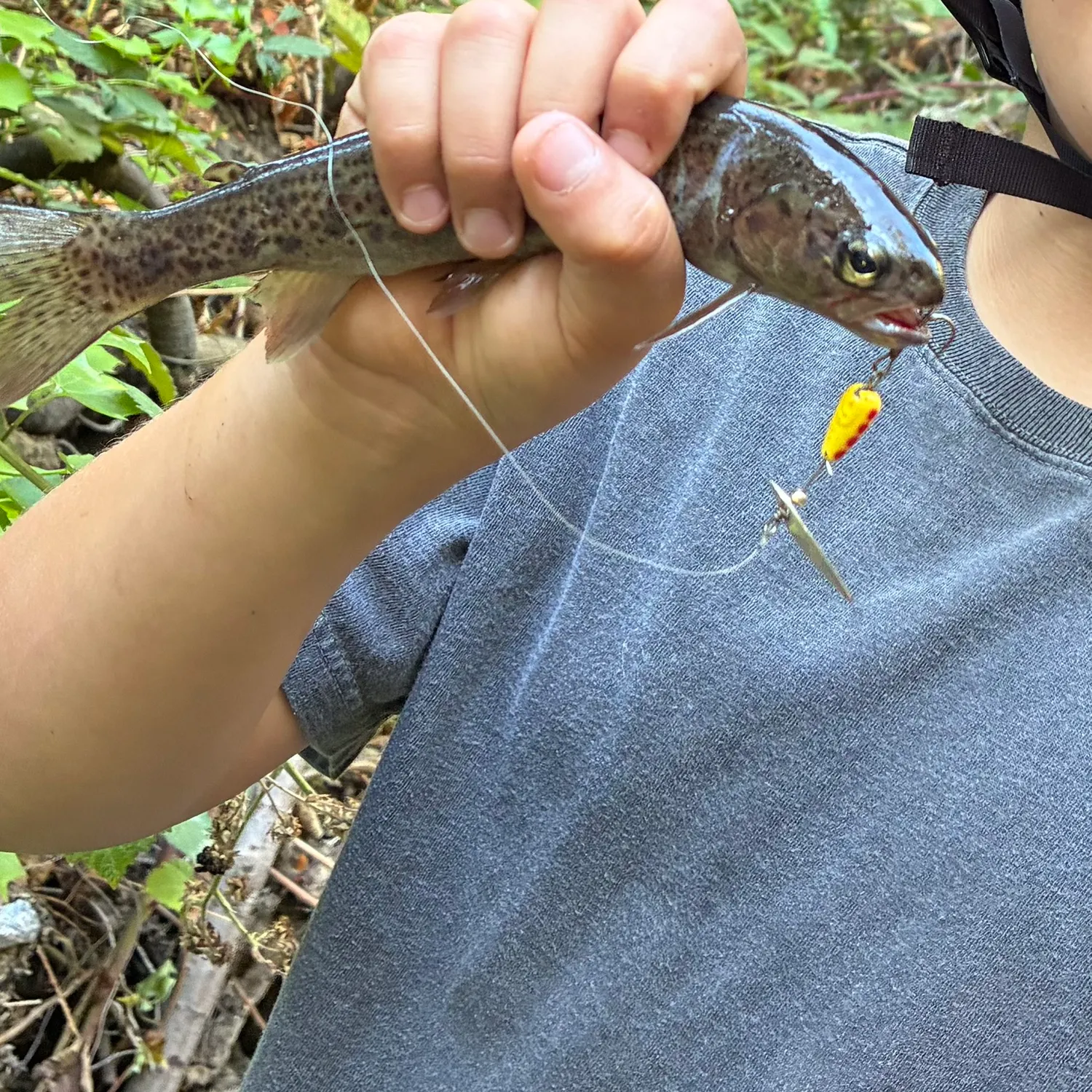 Rainbow trout caught on Fishbrain