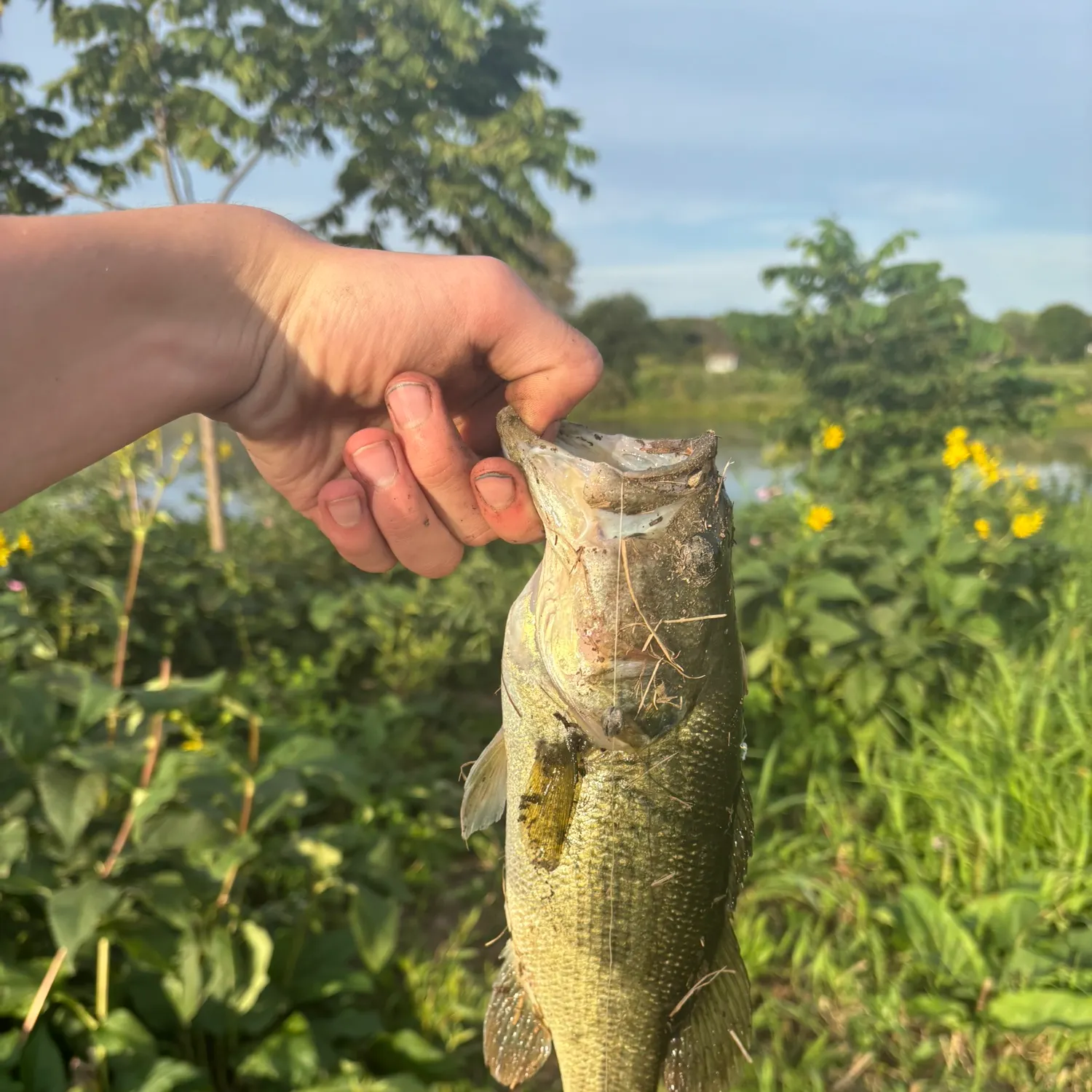 catch