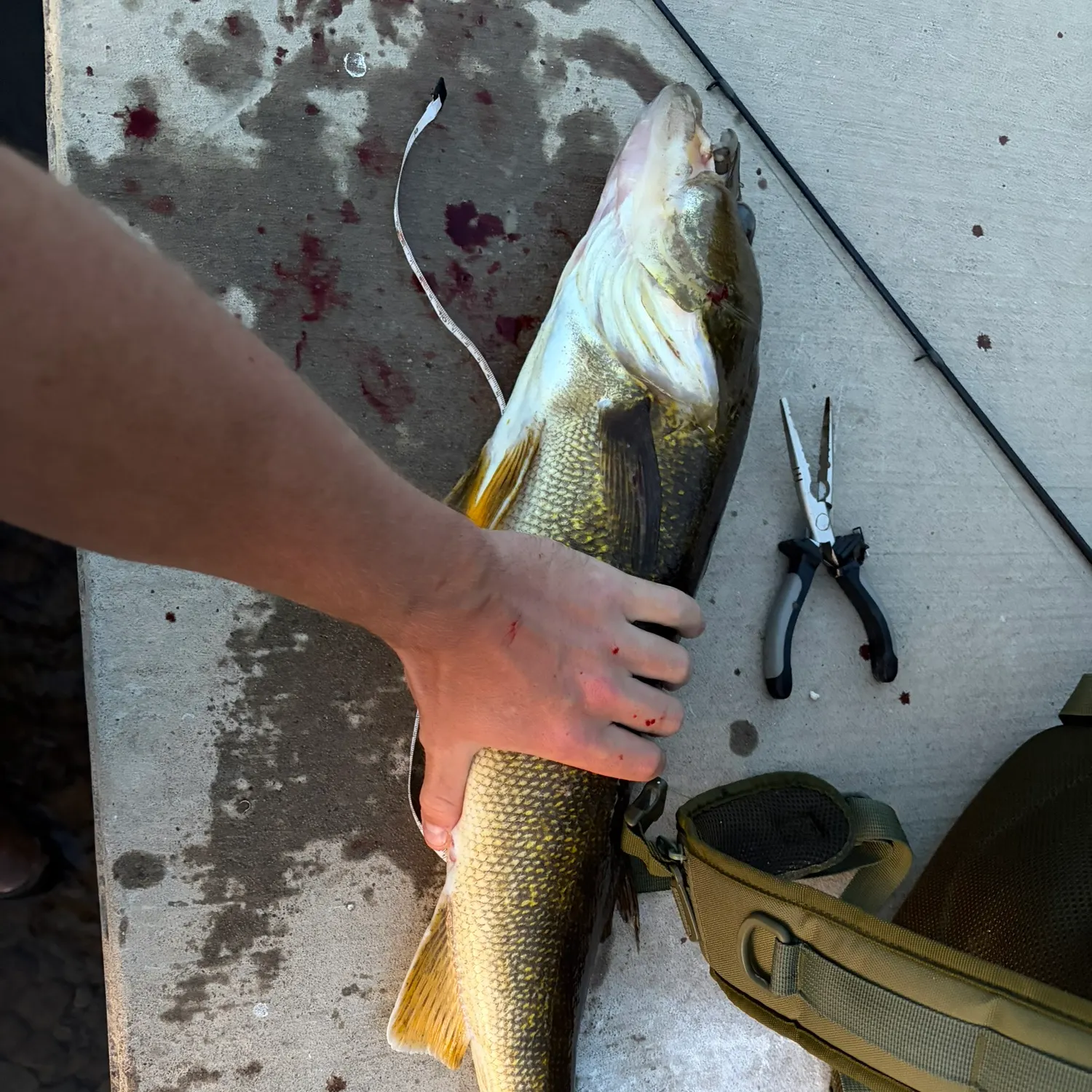 catch