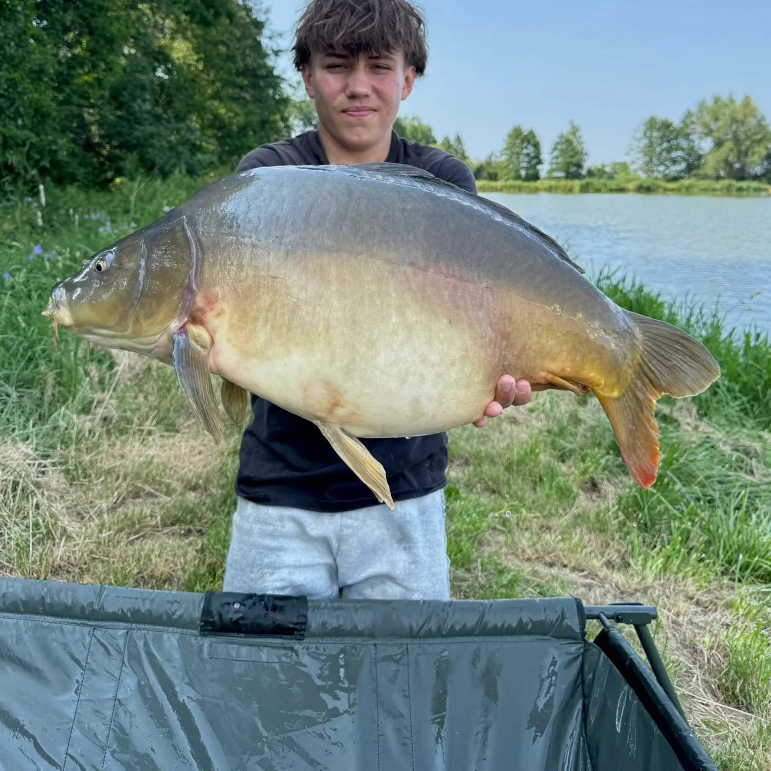 The most recent Mirror carp catches on Fishbrain