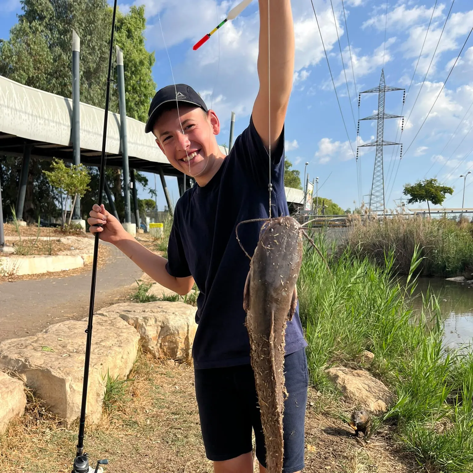 North African catfish caught on Fishbrain