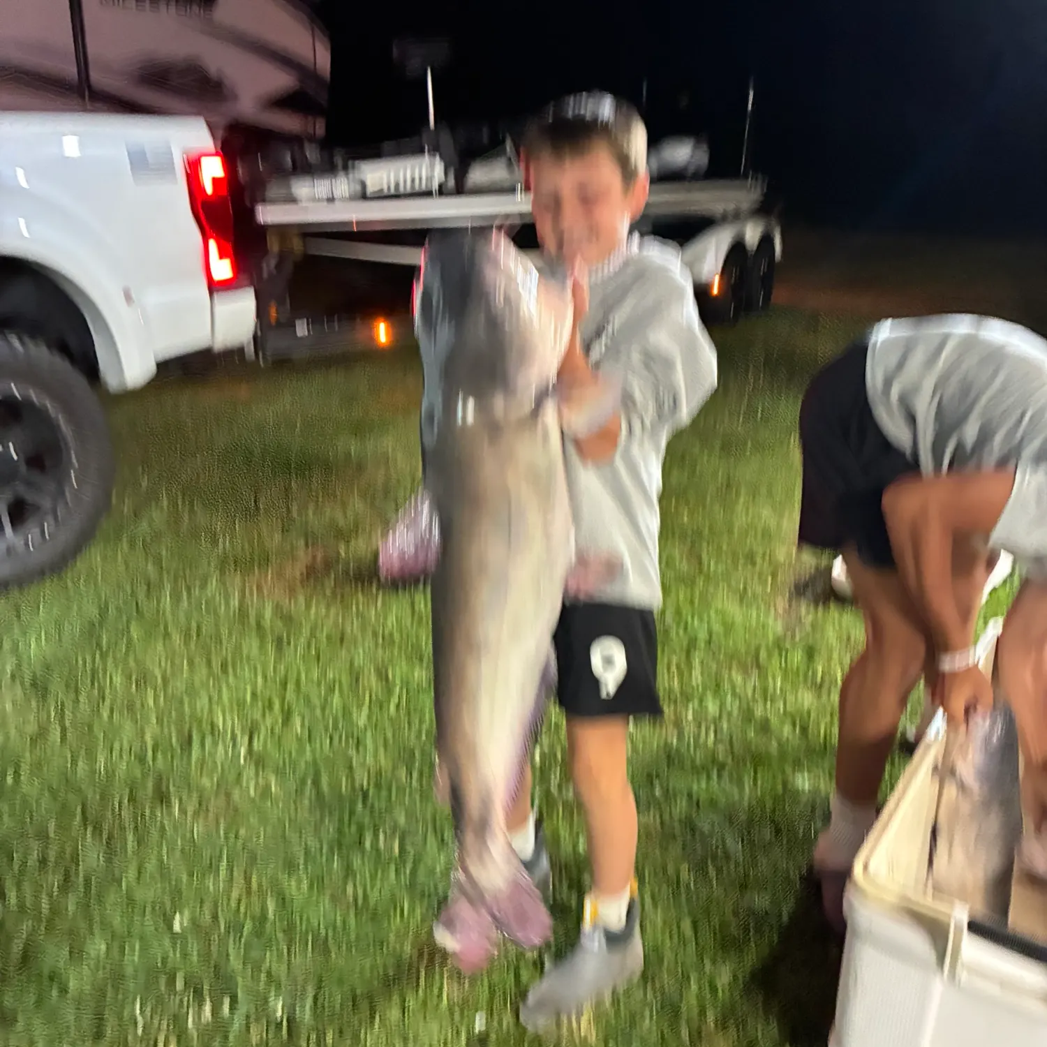 Blue catfish caught on Fishbrain