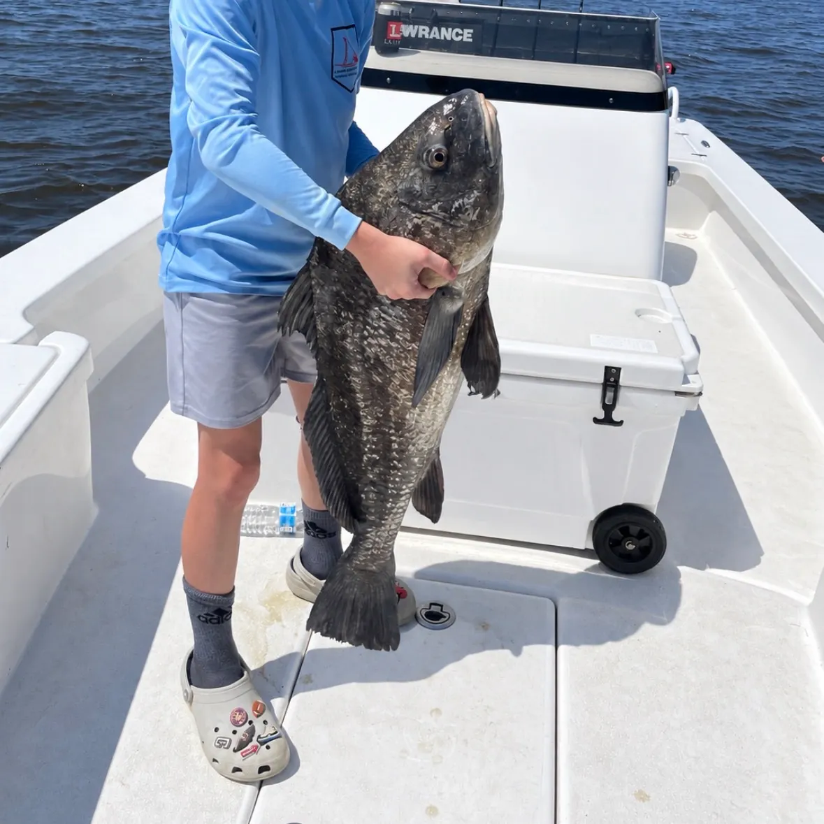 The most recent Black drum catches on Fishbrain