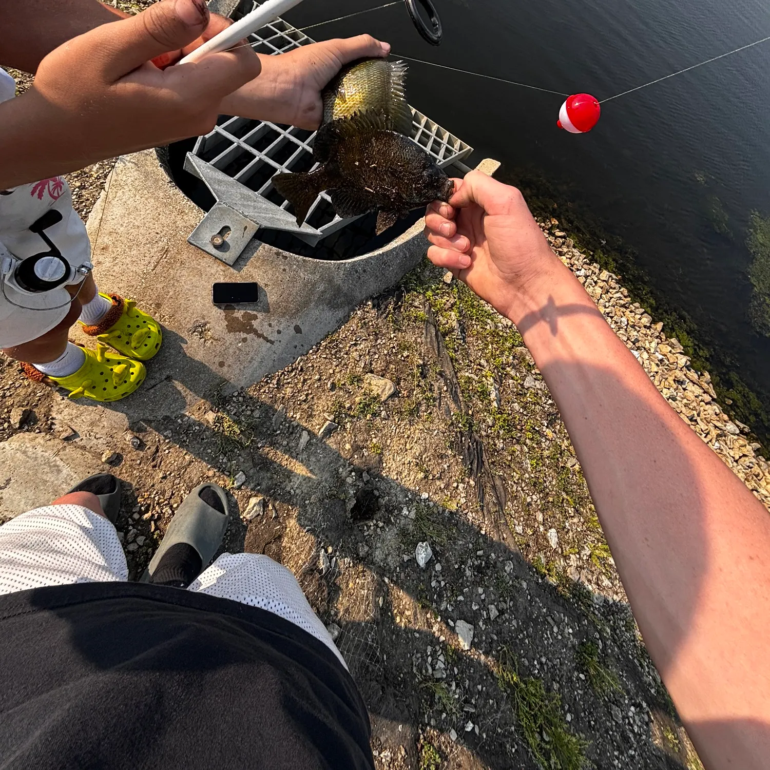 most liked catch image
