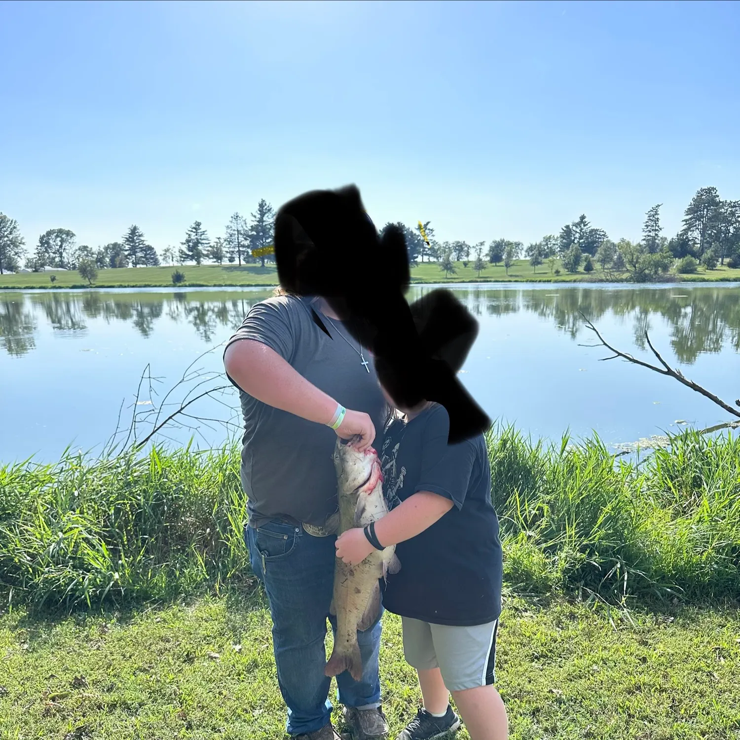 Channel catfish caught on Fishbrain