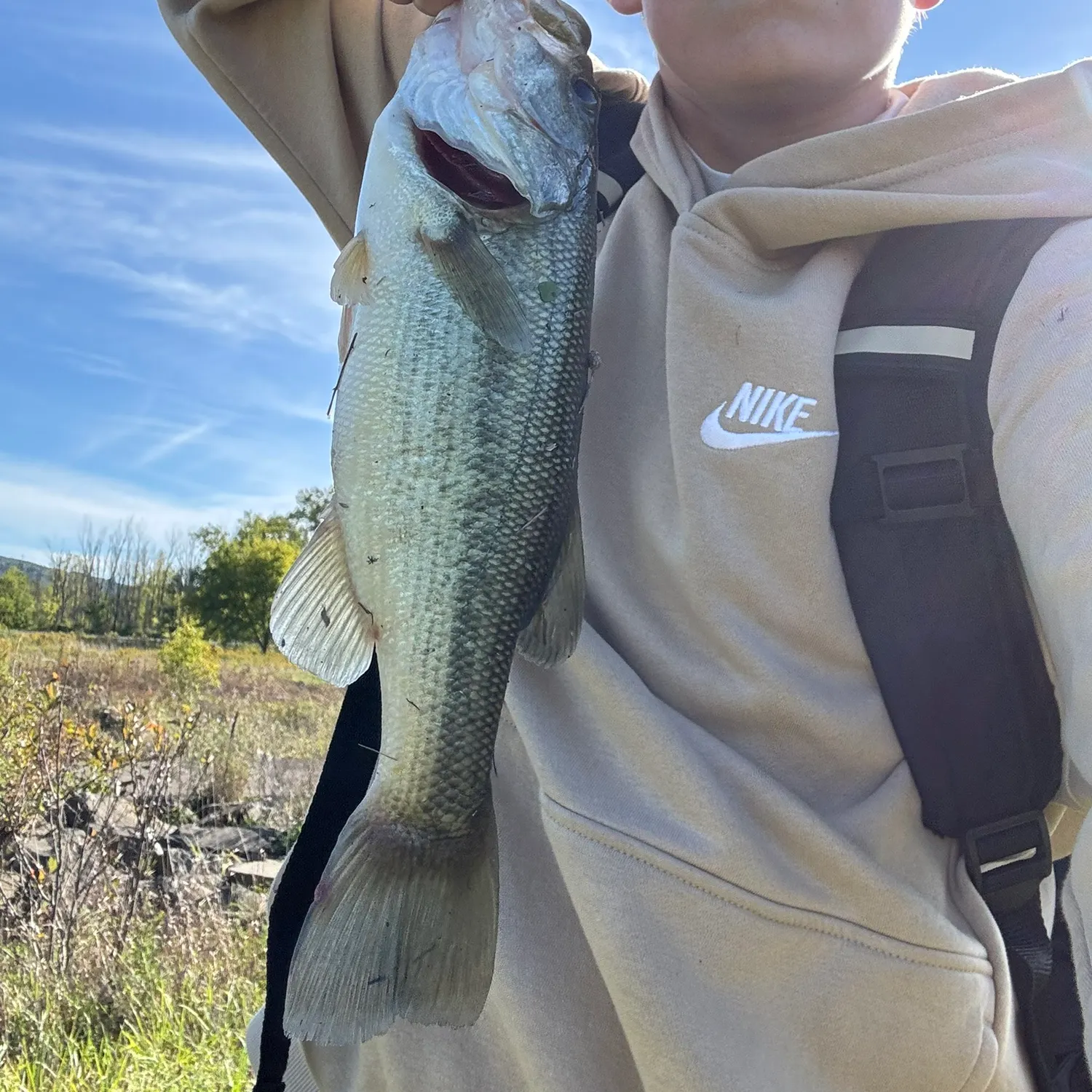 Largemouth bass caught on Fishbrain