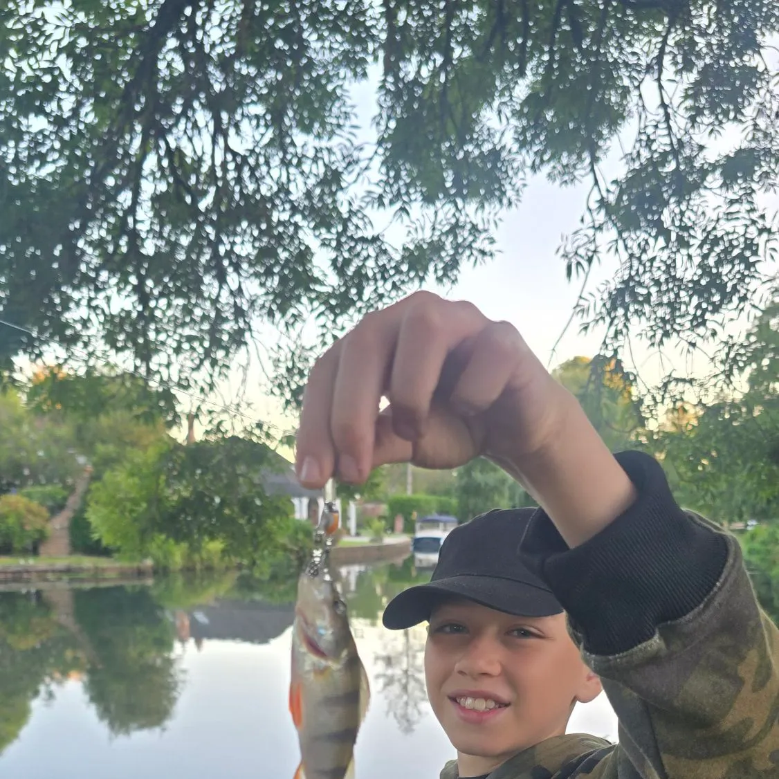 European perch caught on Fishbrain