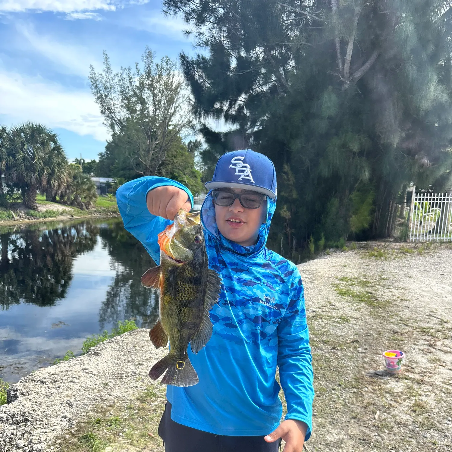 Butterfly peacock bass caught on Fishbrain