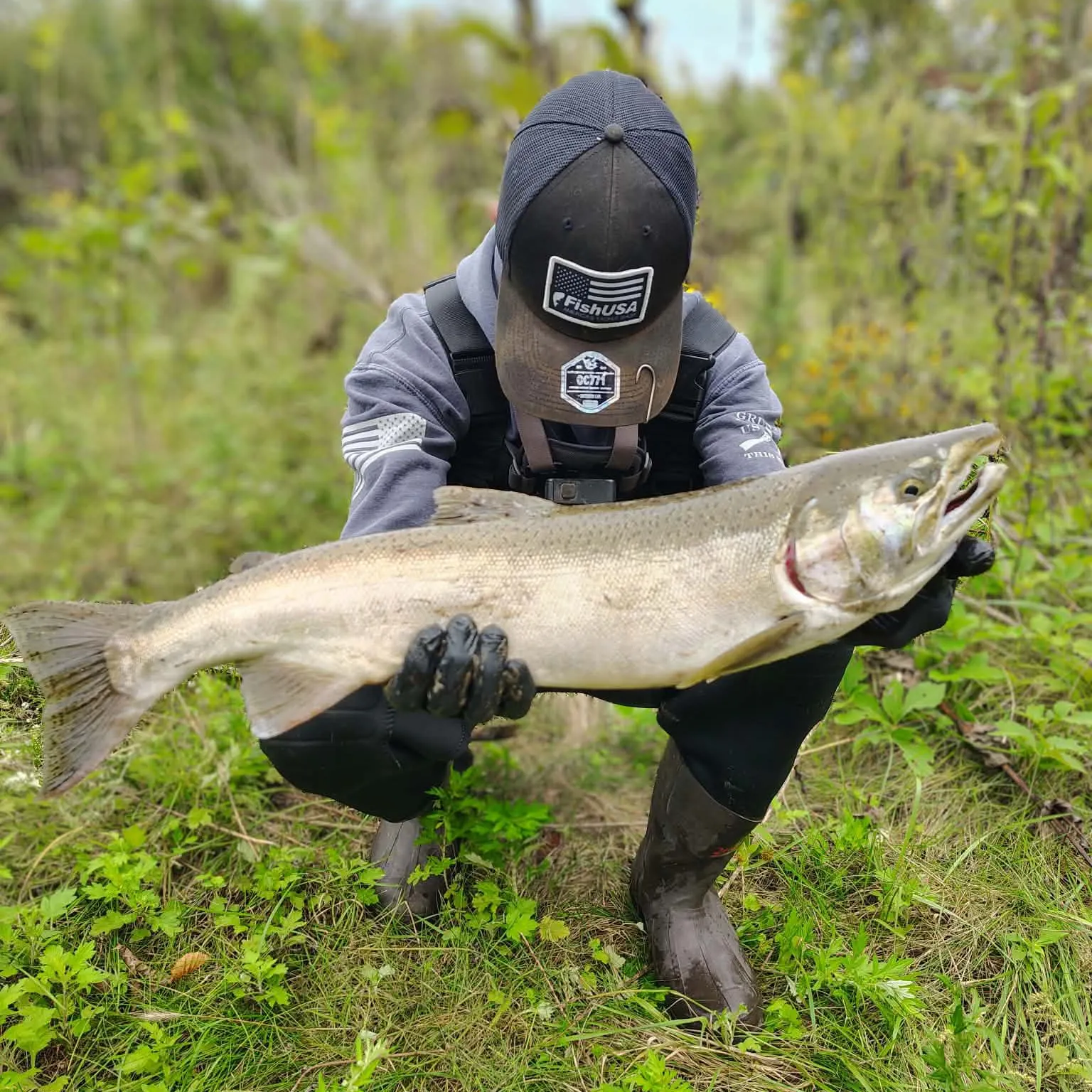 Coho salmon caught on Fishbrain