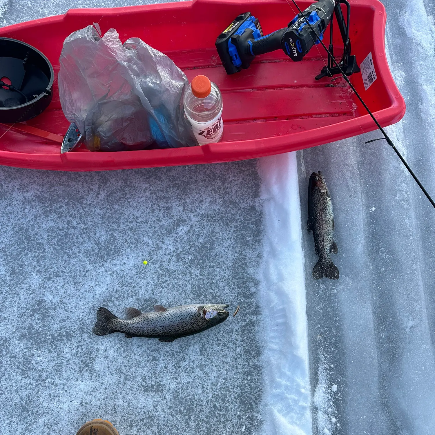 recently logged catches