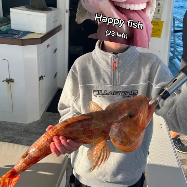 The most recent Sergeant Baker catches on Fishbrain