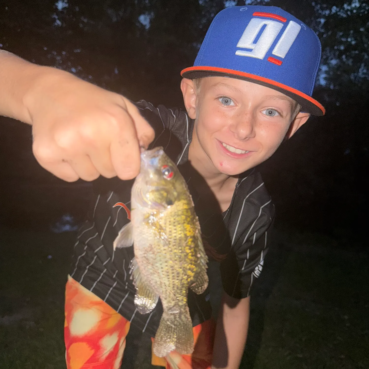 Rock bass caught on Fishbrain