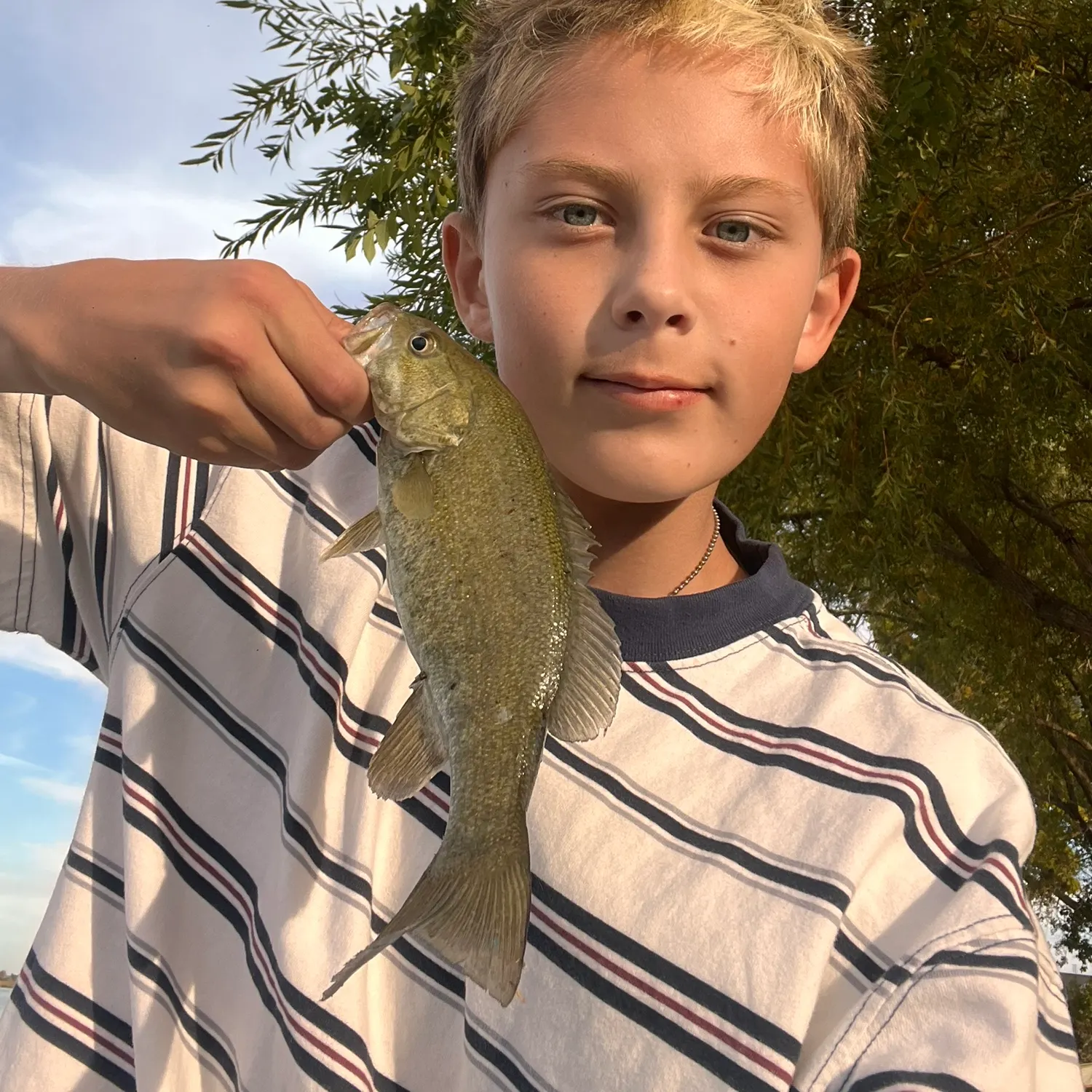 Smallmouth bass caught on Fishbrain