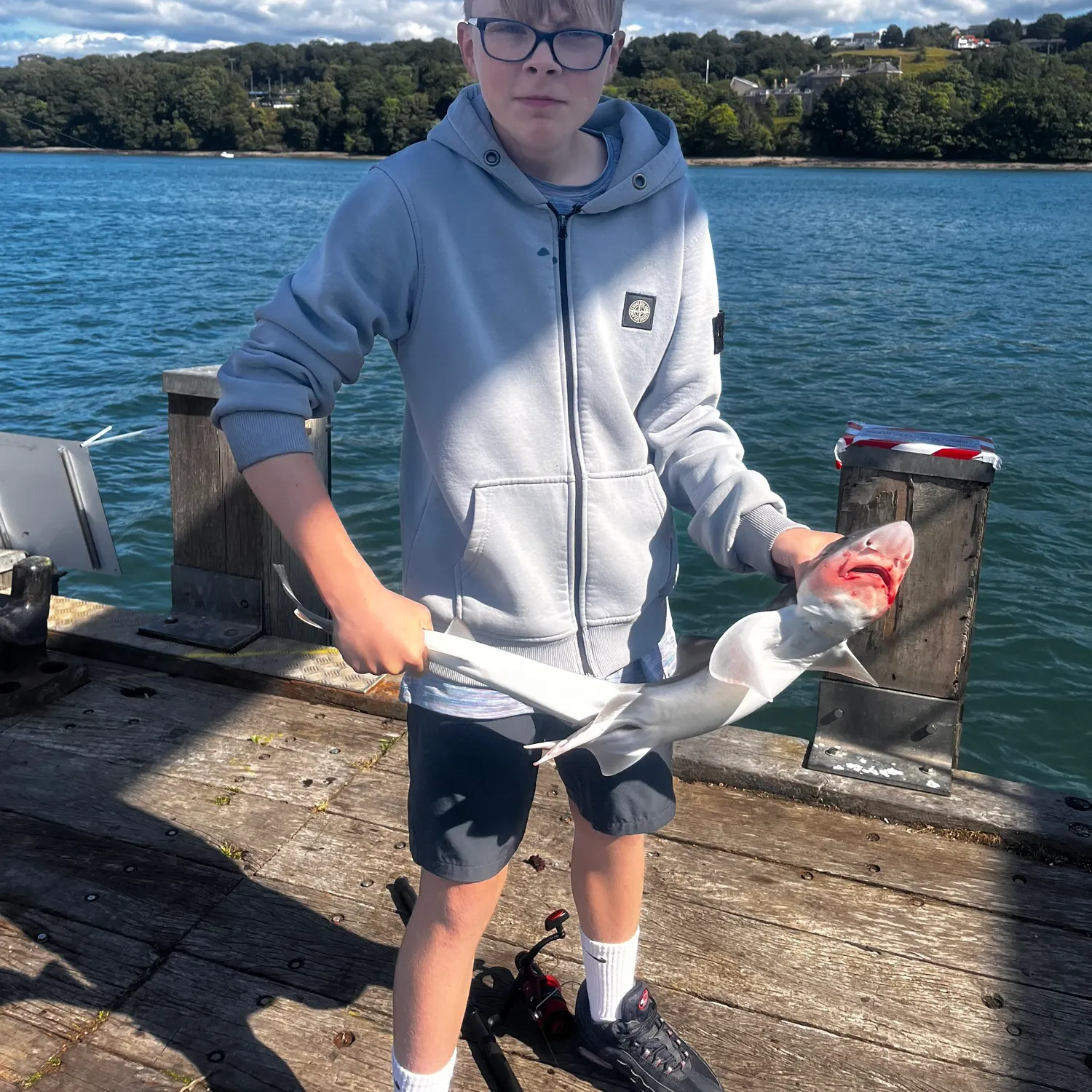 The most recent Starry smooth-hound catches on Fishbrain