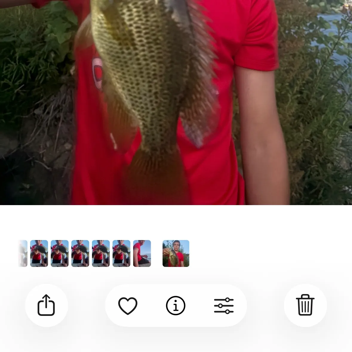 recently logged catches