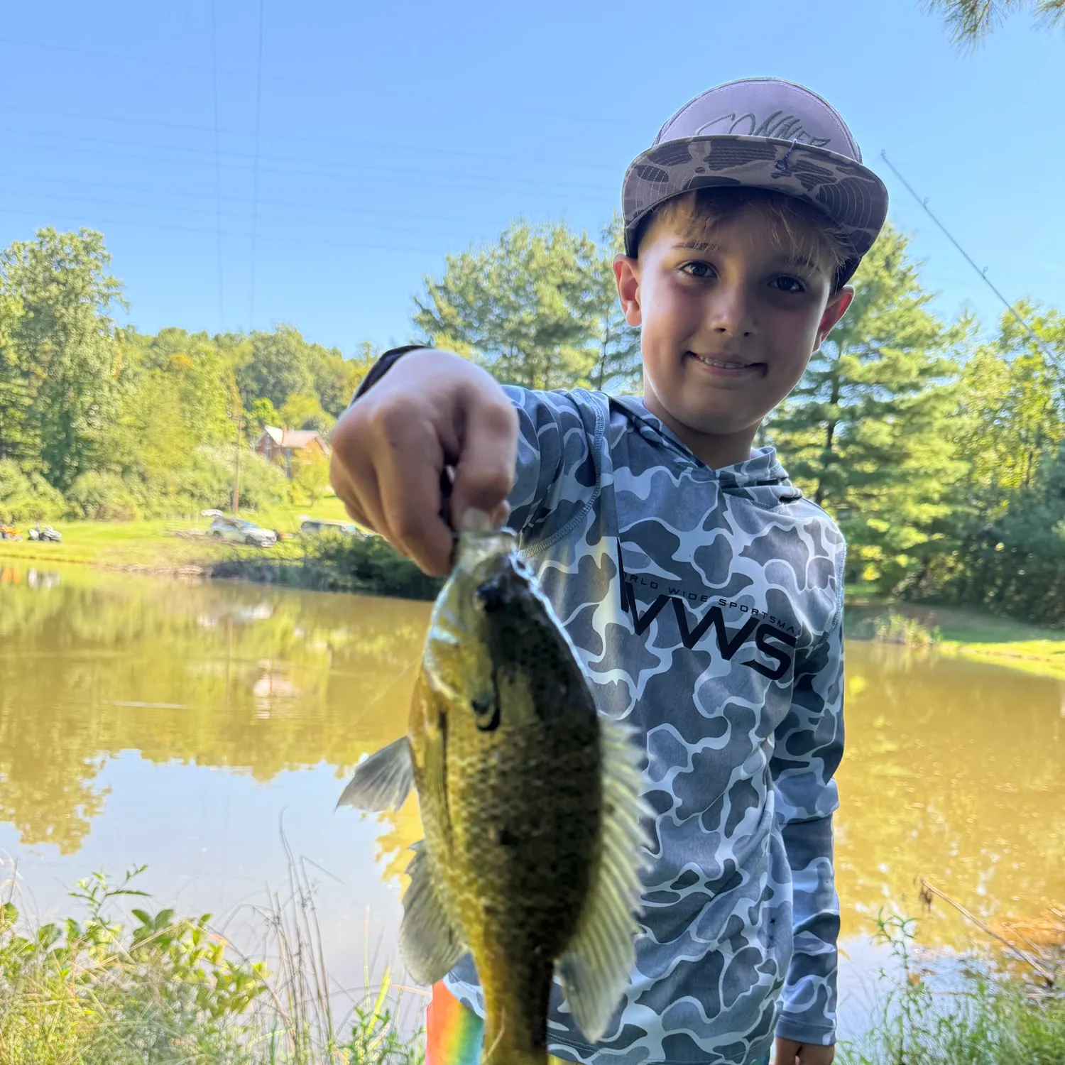 Bluegill caught on Fishbrain