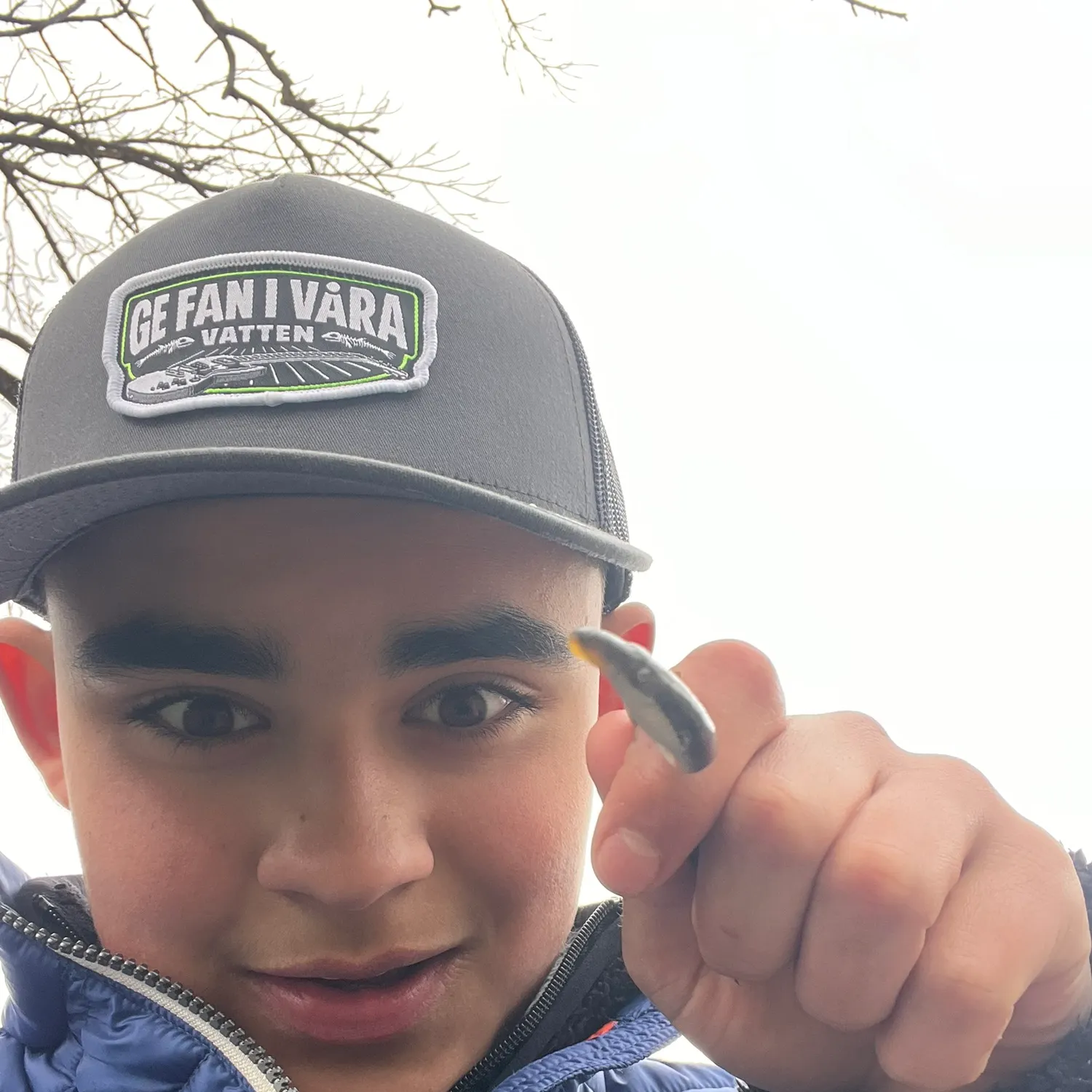 The most recent European brook lamprey catches on Fishbrain