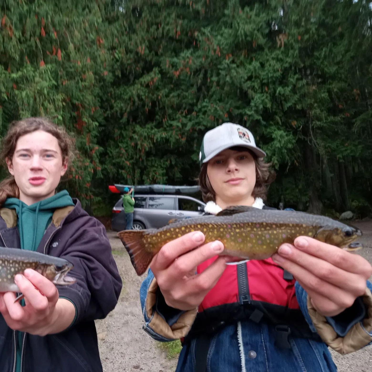 Brook trout caught on Fishbrain