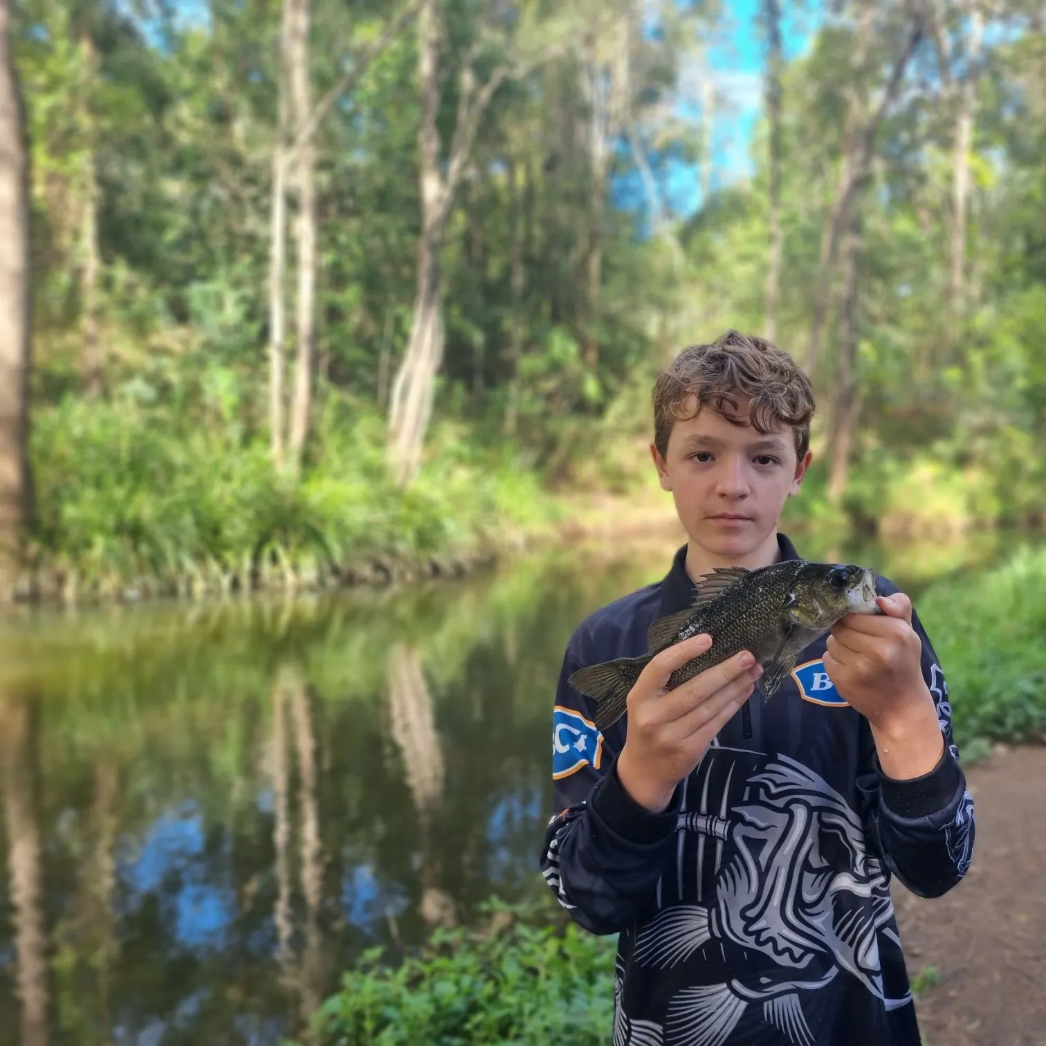 The most recent Australian bass catches on Fishbrain