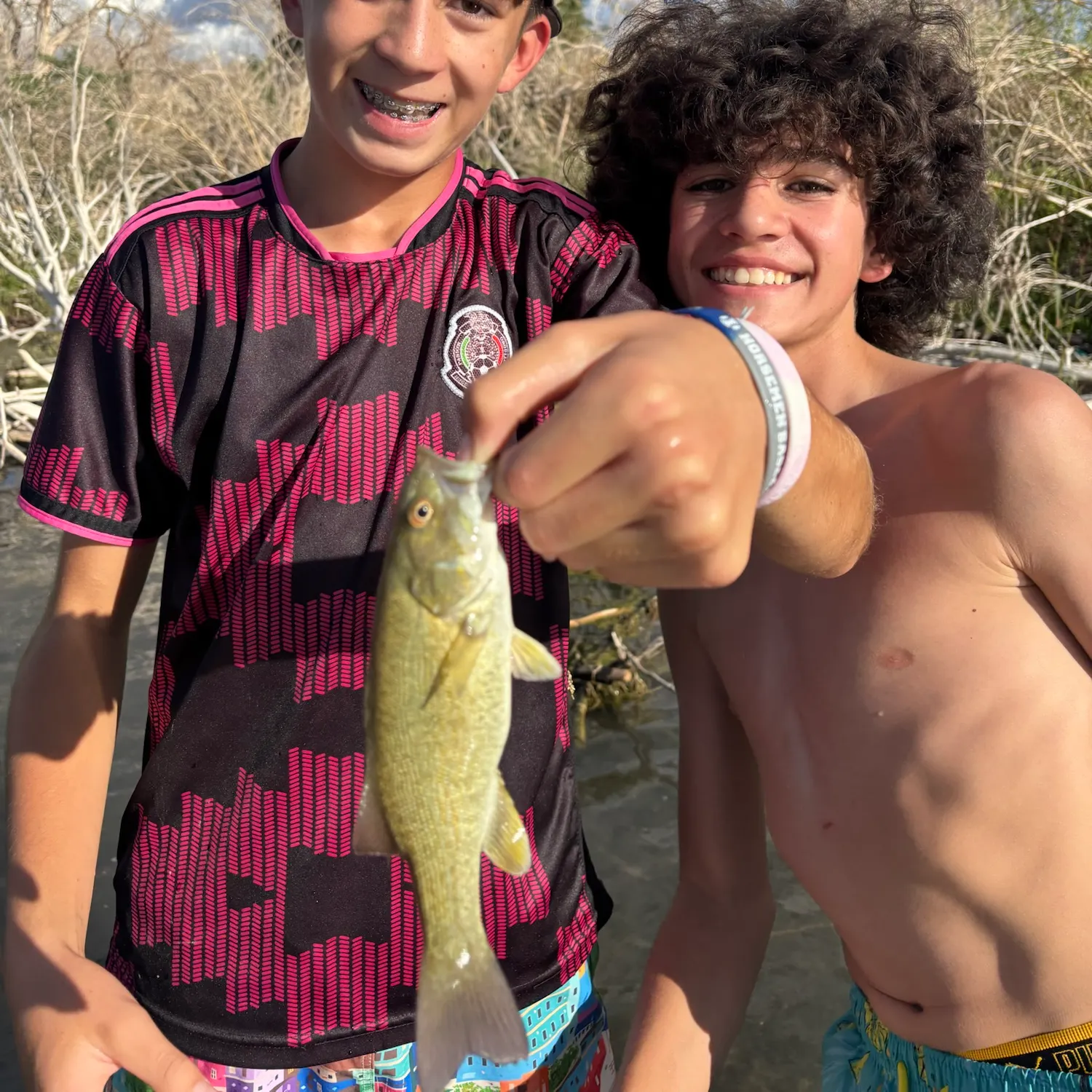 Smallmouth bass caught on Fishbrain