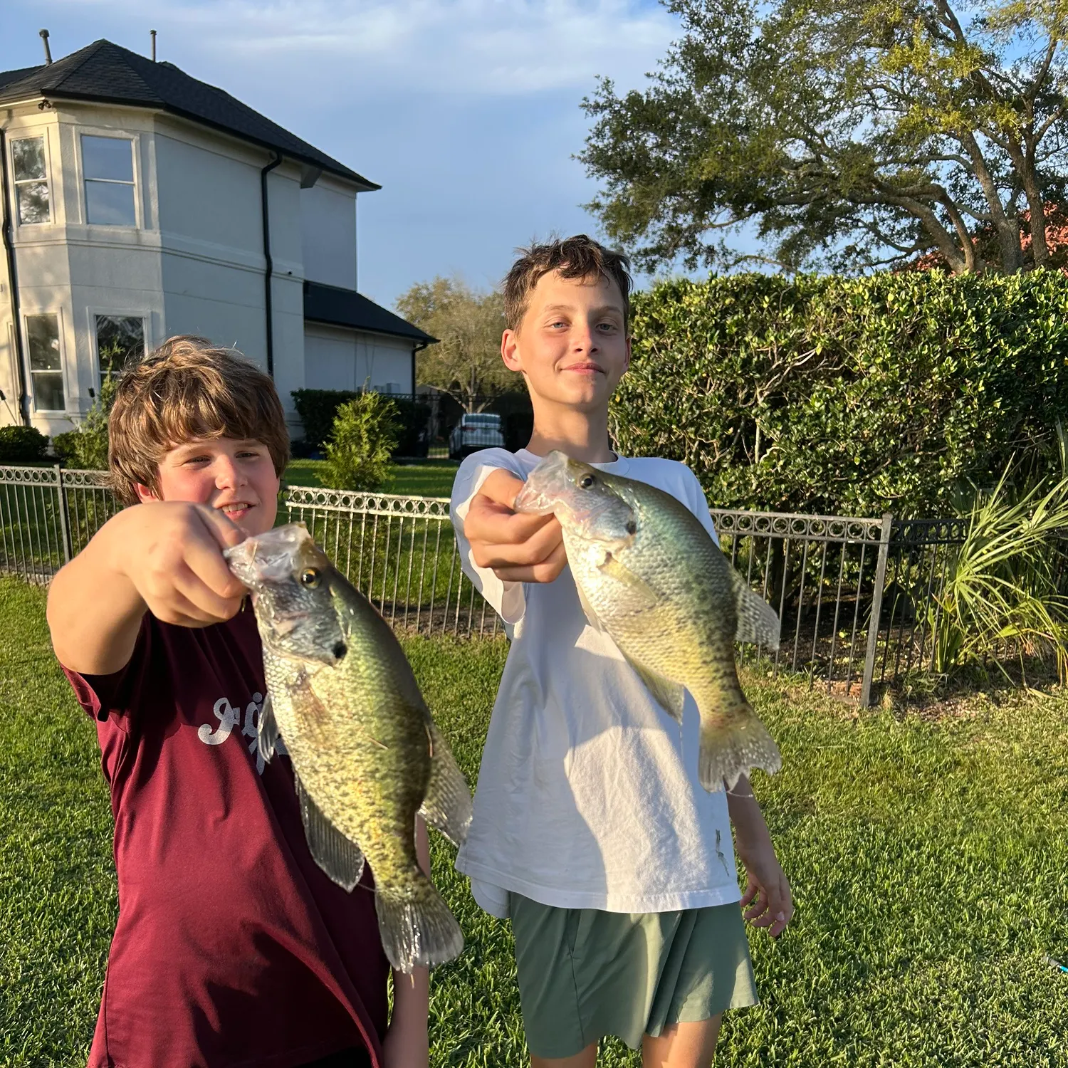 recently logged catches