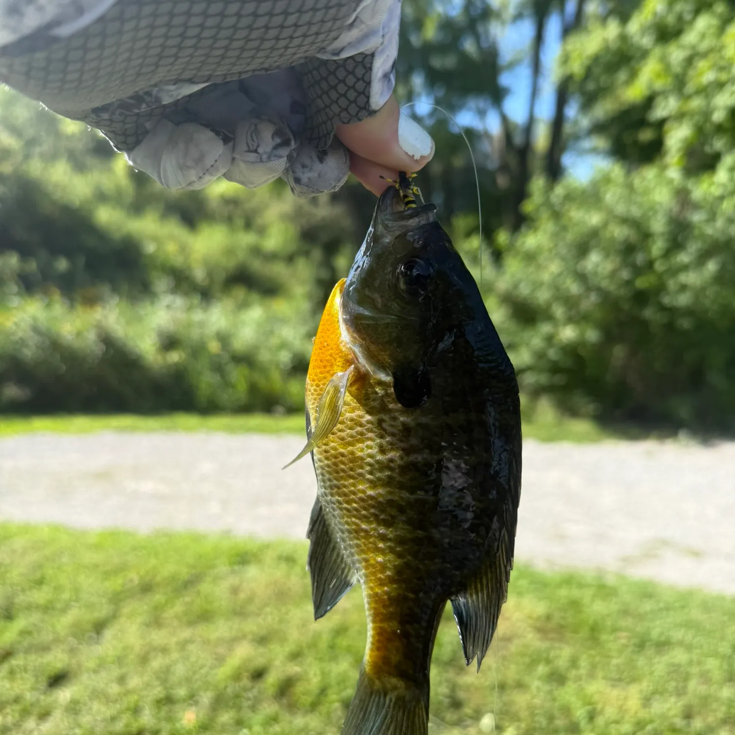catch
