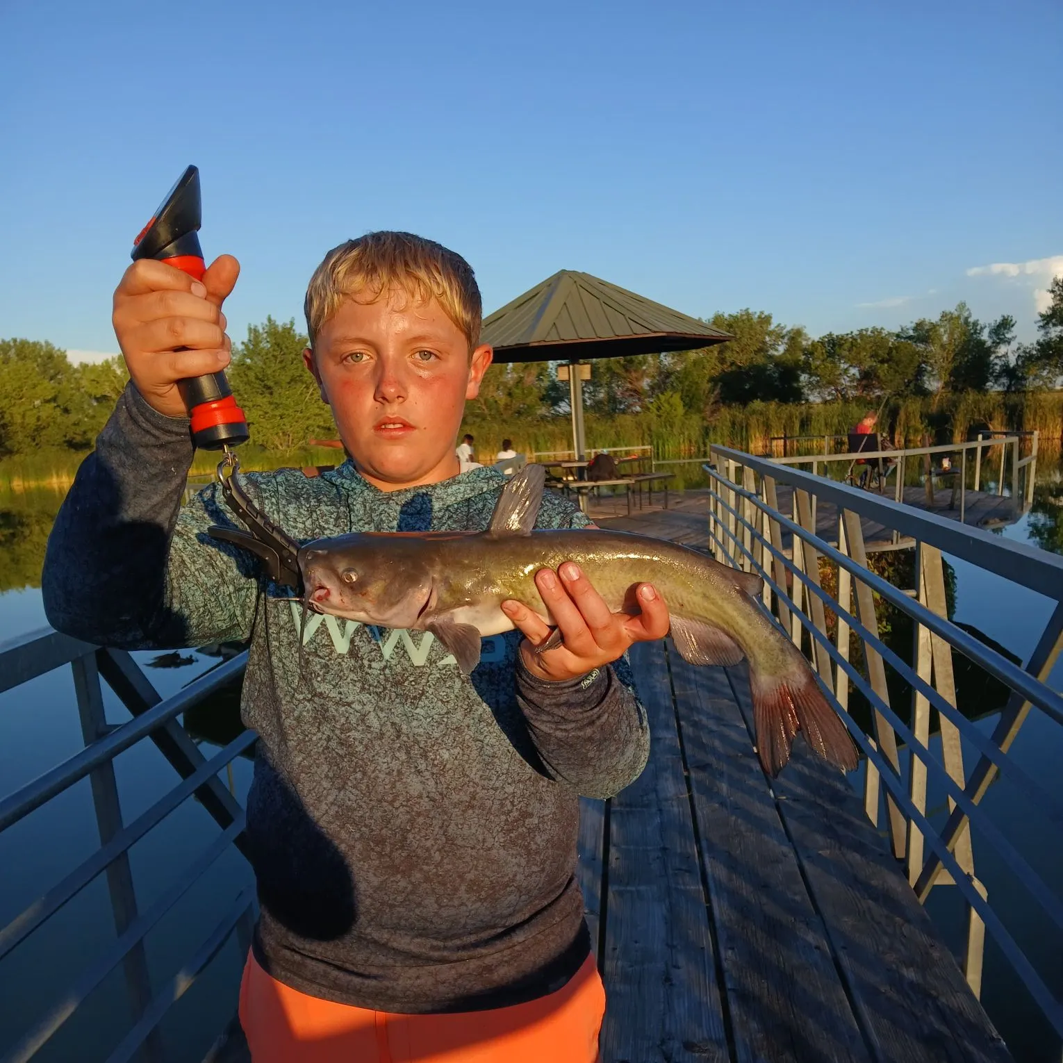 Channel catfish caught on Fishbrain