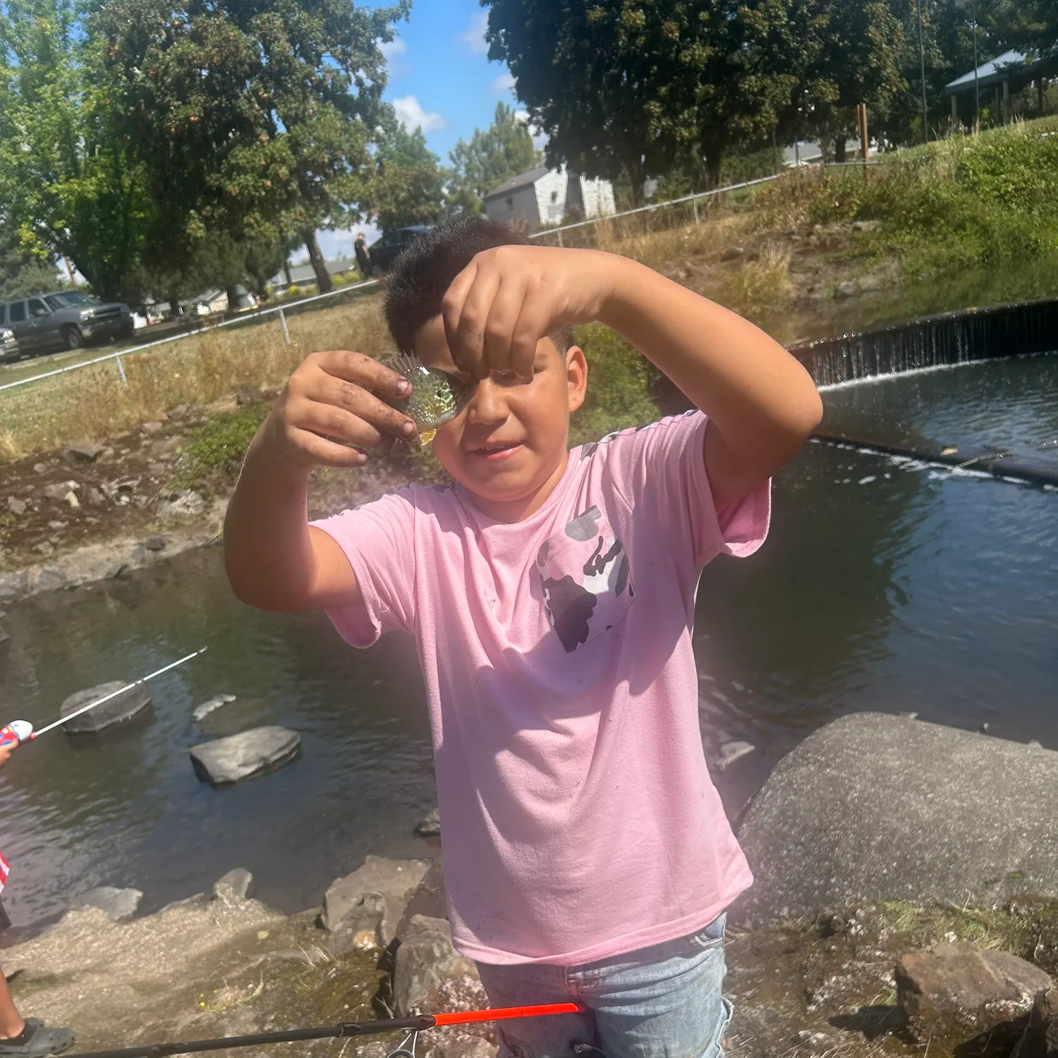 Redear sunfish caught on Fishbrain