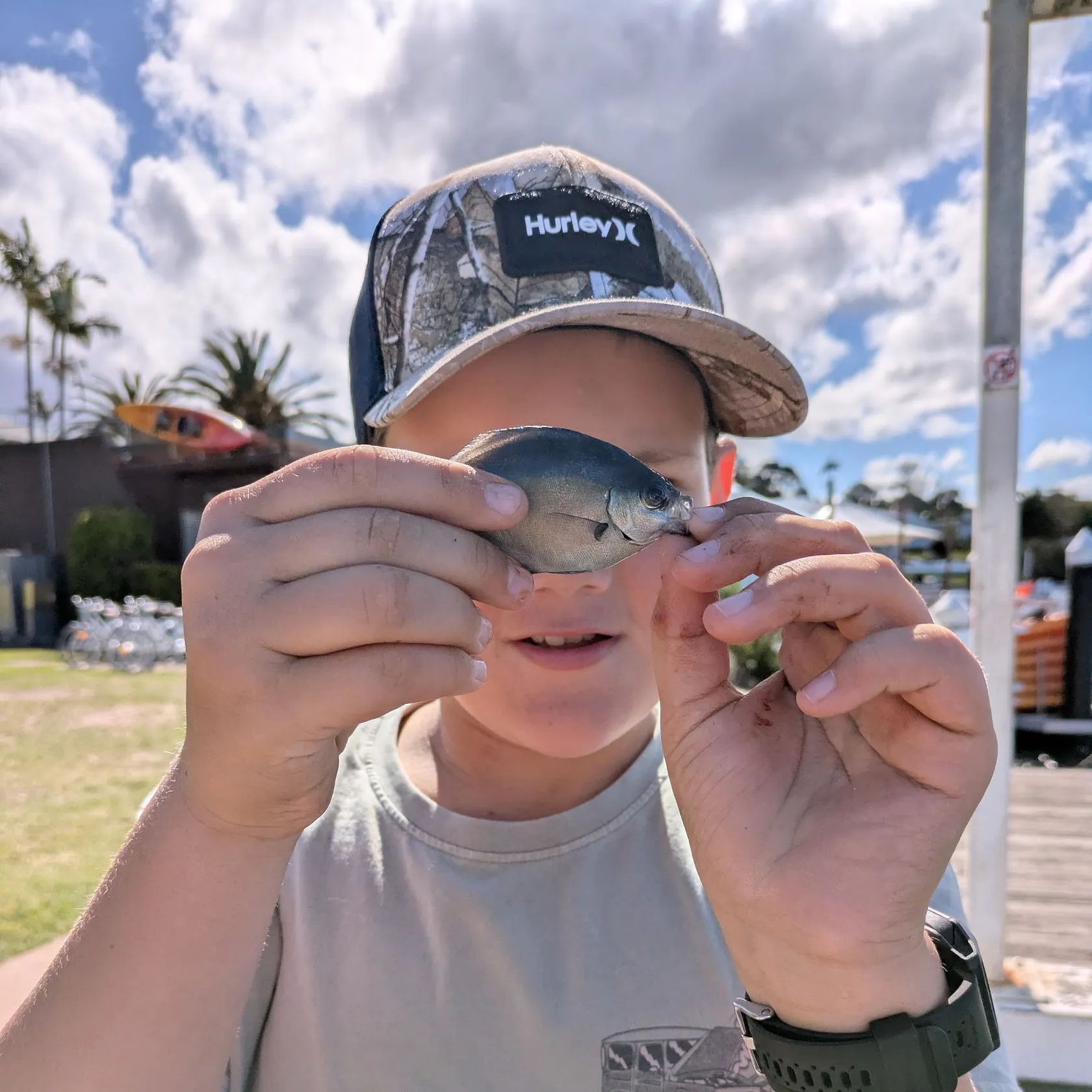 Silver sweep caught on Fishbrain