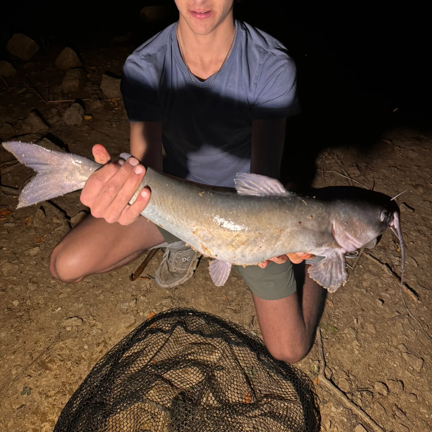 Channel catfish caught on Fishbrain