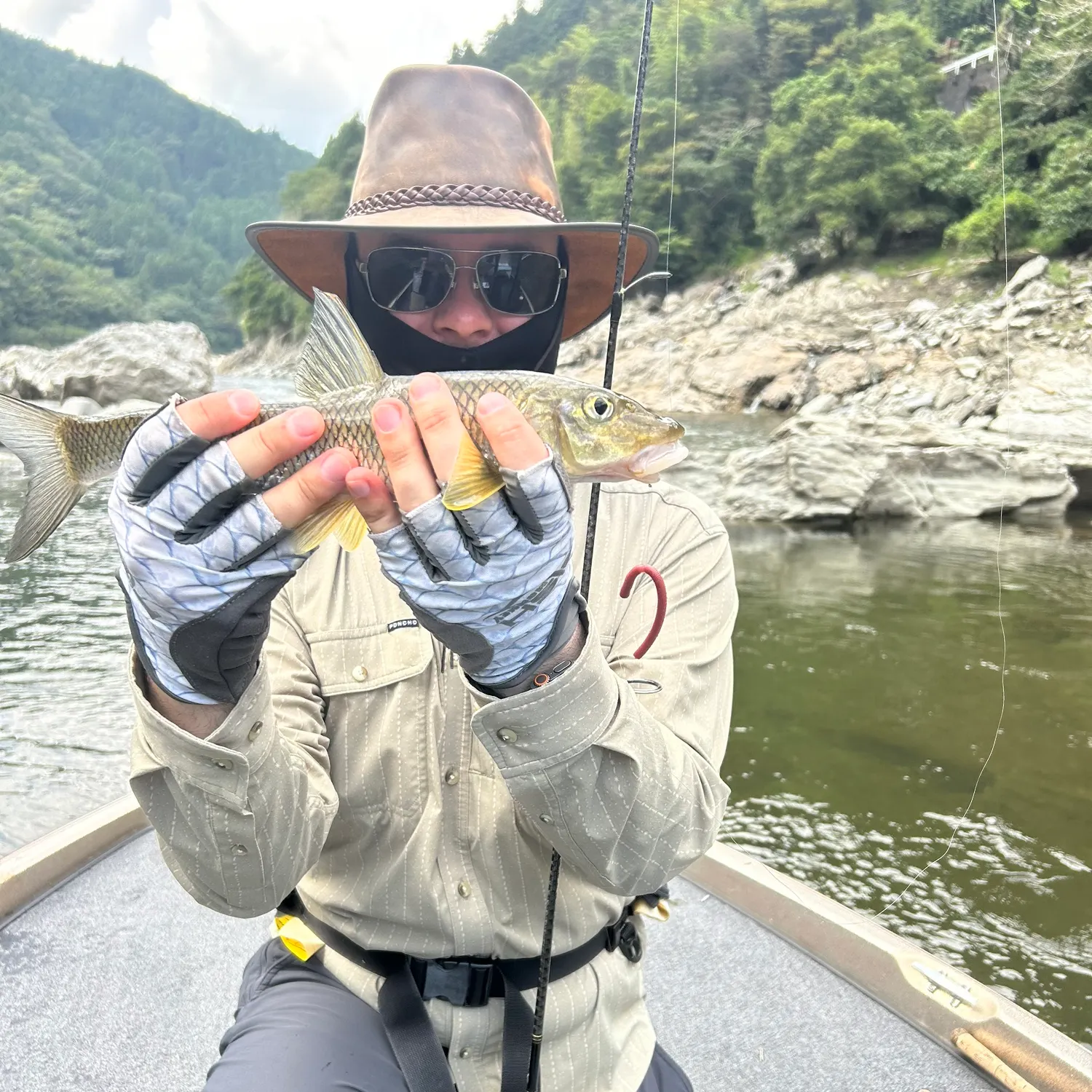 The most recent Common barbel catches on Fishbrain