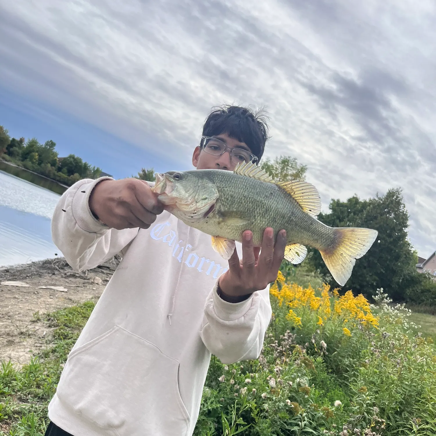 Largemouth bass caught on Fishbrain
