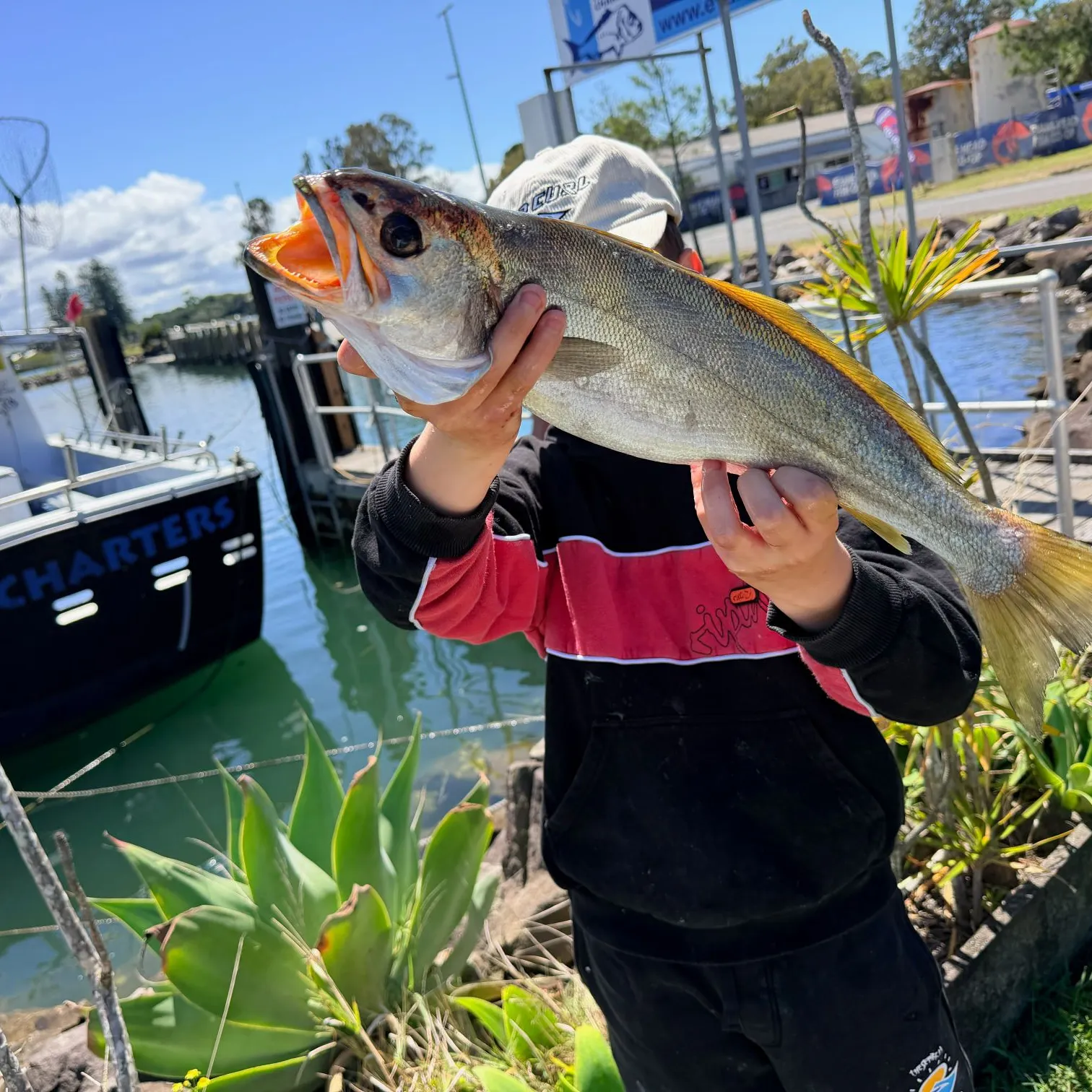 Geelbeck croaker caught on Fishbrain