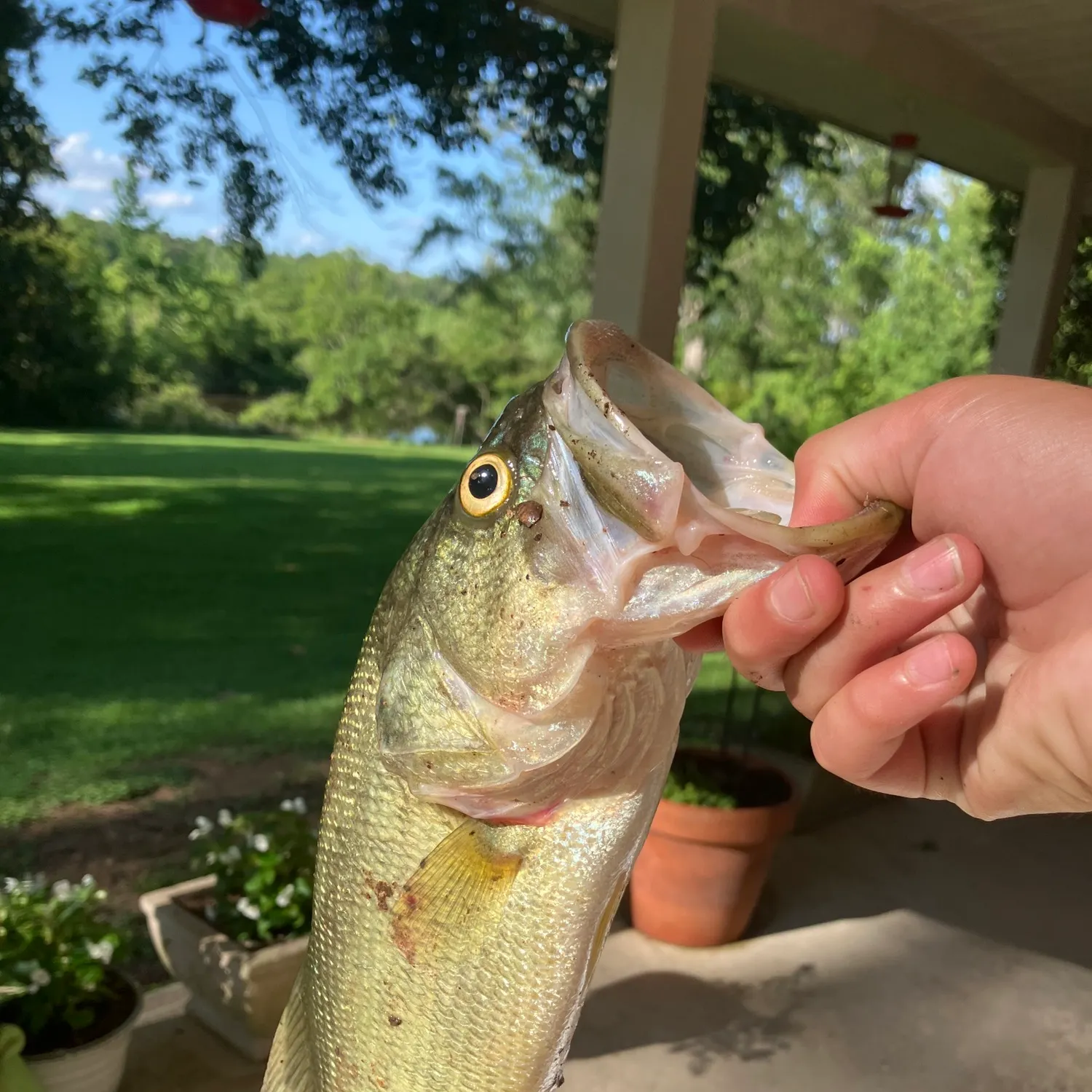 catch