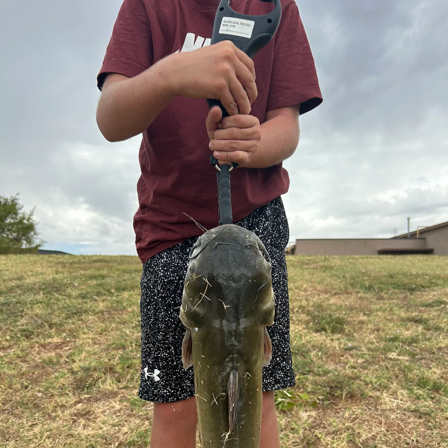 Channel catfish caught on Fishbrain