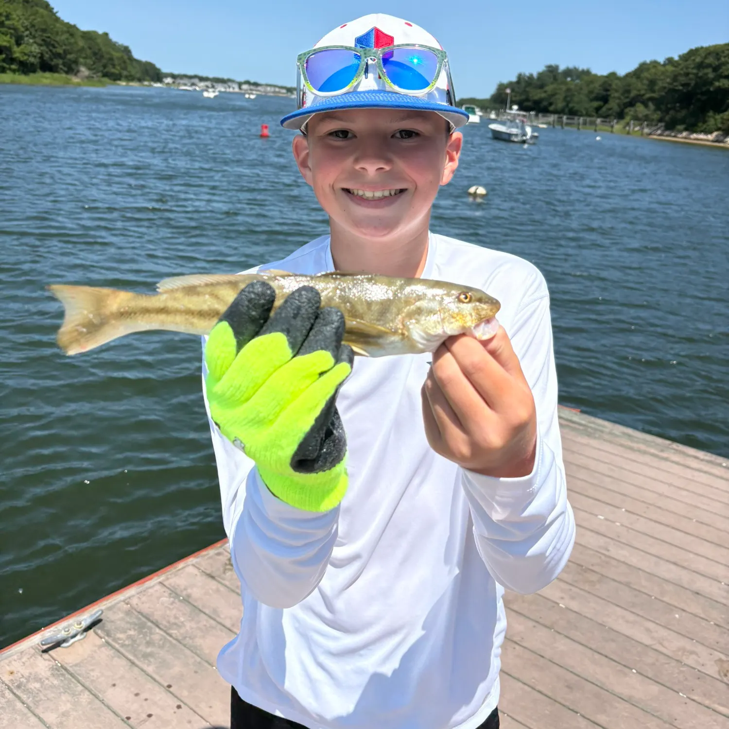 The most recent Northern kingcroaker catches on Fishbrain