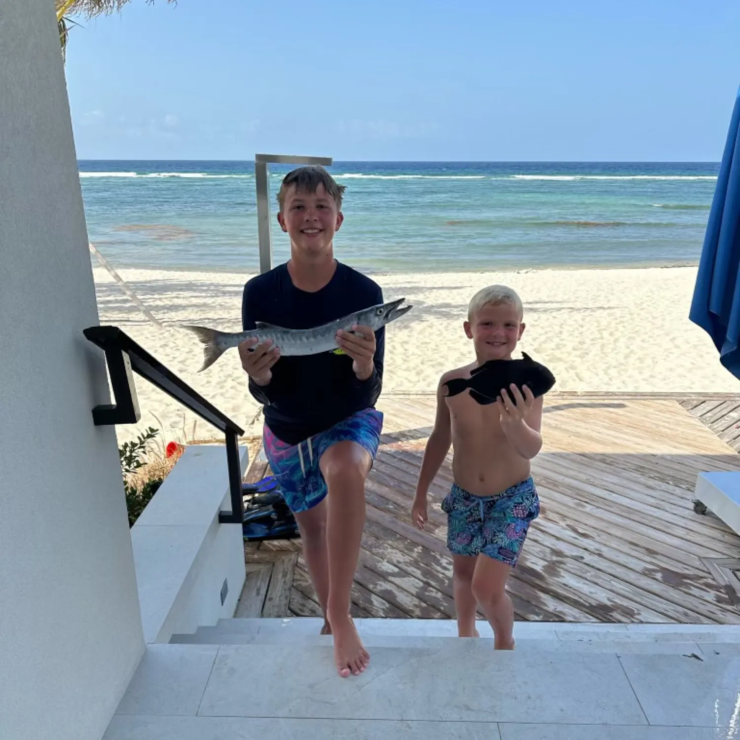 The most recent Indian triggerfish catches on Fishbrain