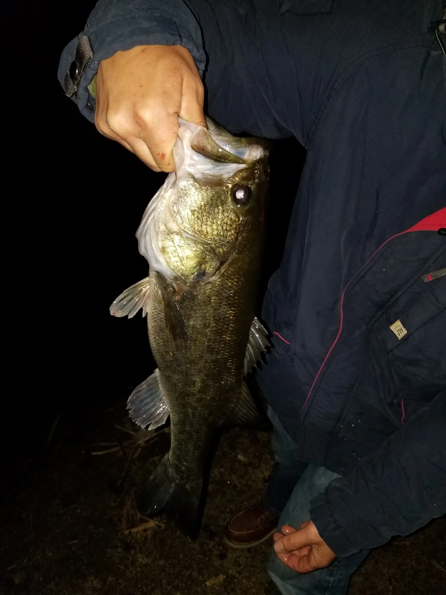 Post image from 96thcast