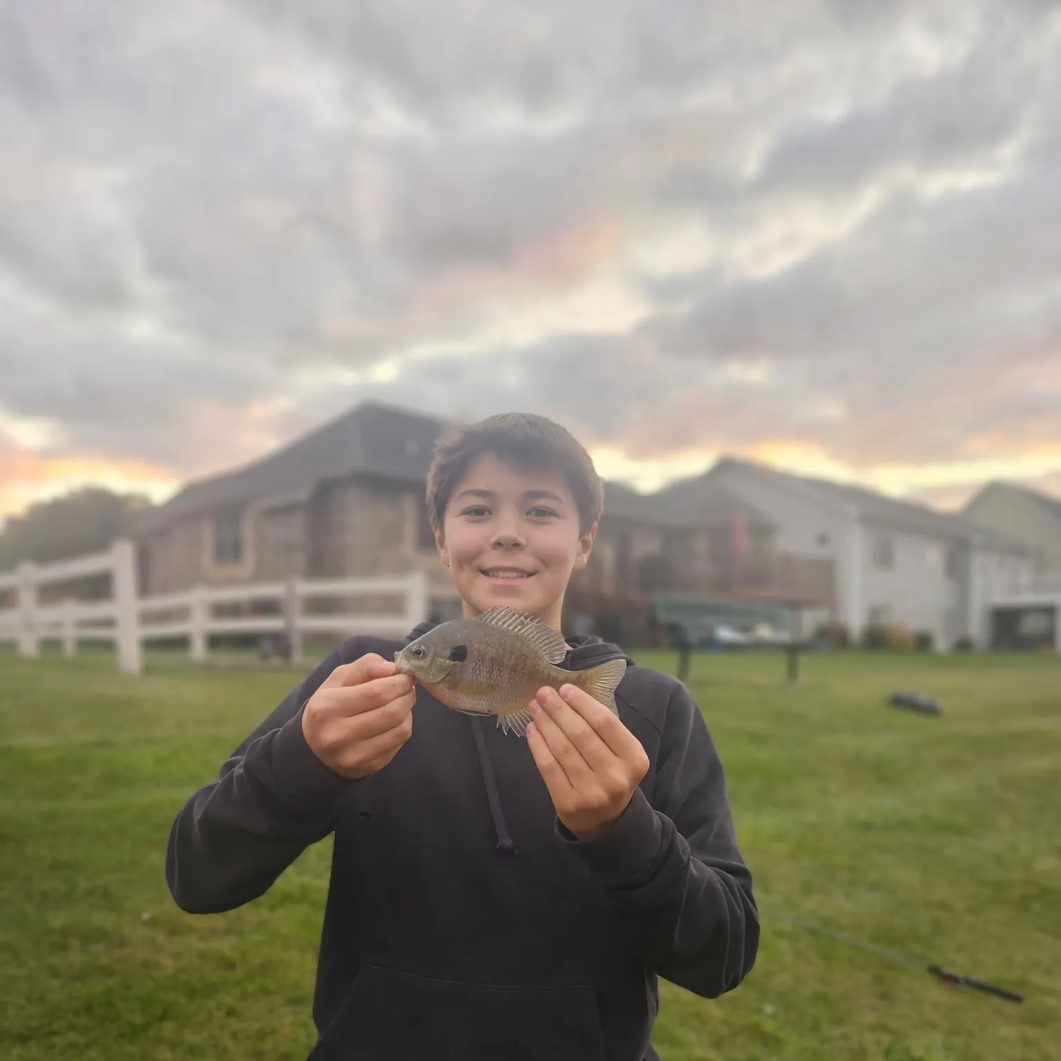 The most recent Bluegill catches on Fishbrain