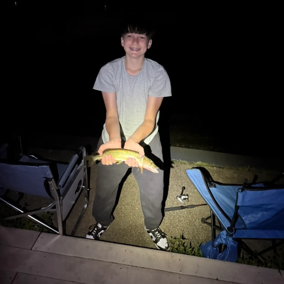 Chain pickerel caught on Fishbrain