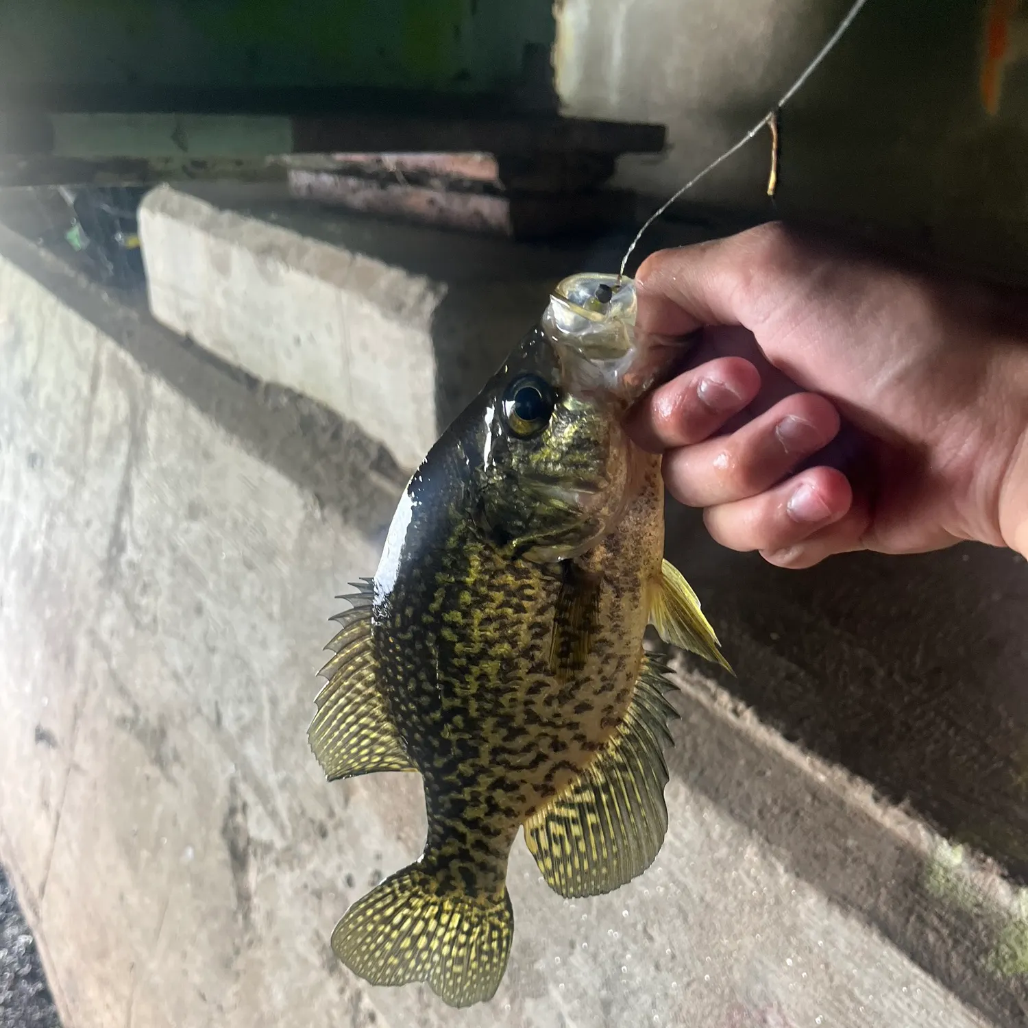 catch