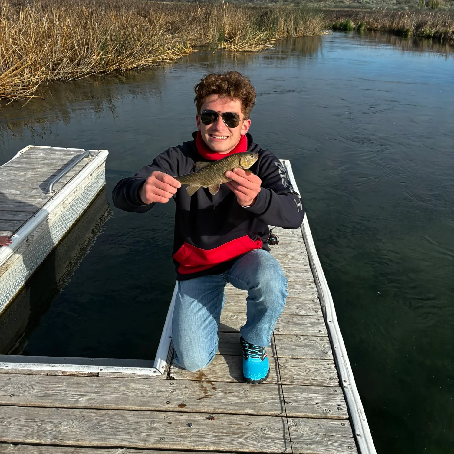 The most recent Utah chub catches on Fishbrain