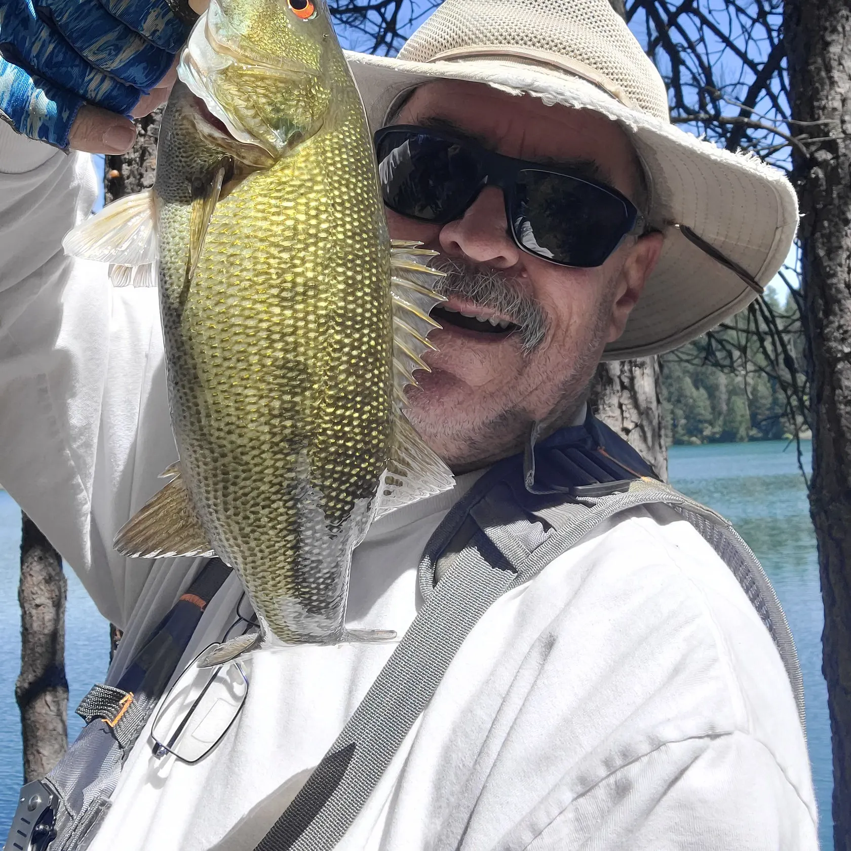 The most recent Redeye bass catches on Fishbrain
