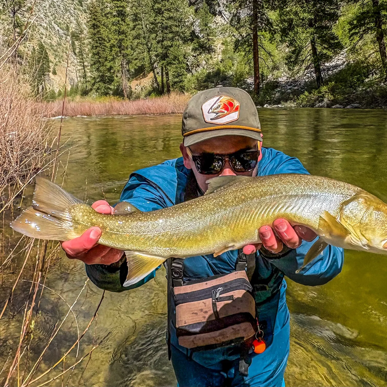 The most recent Bull trout catches on Fishbrain