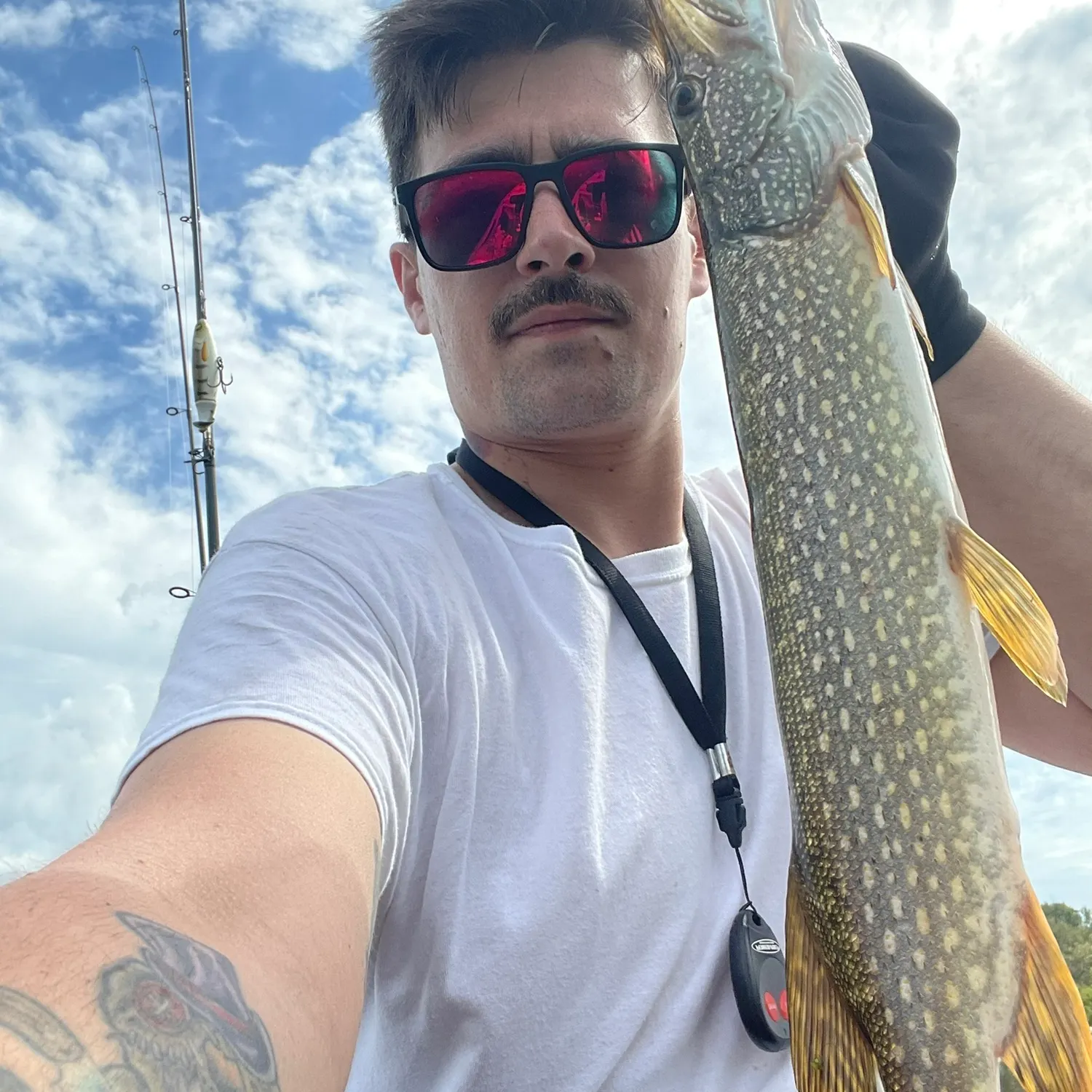 Northern pike caught on Fishbrain