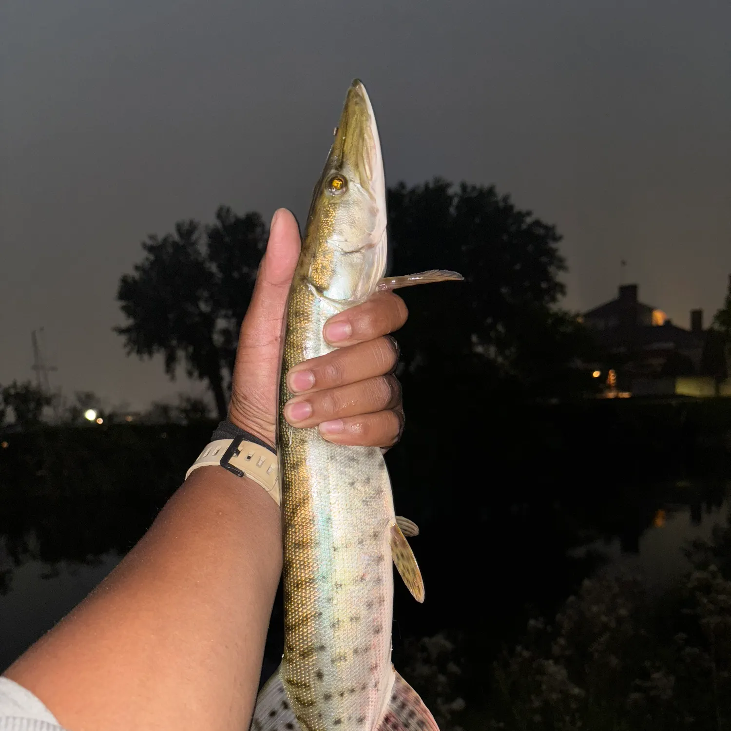 catch