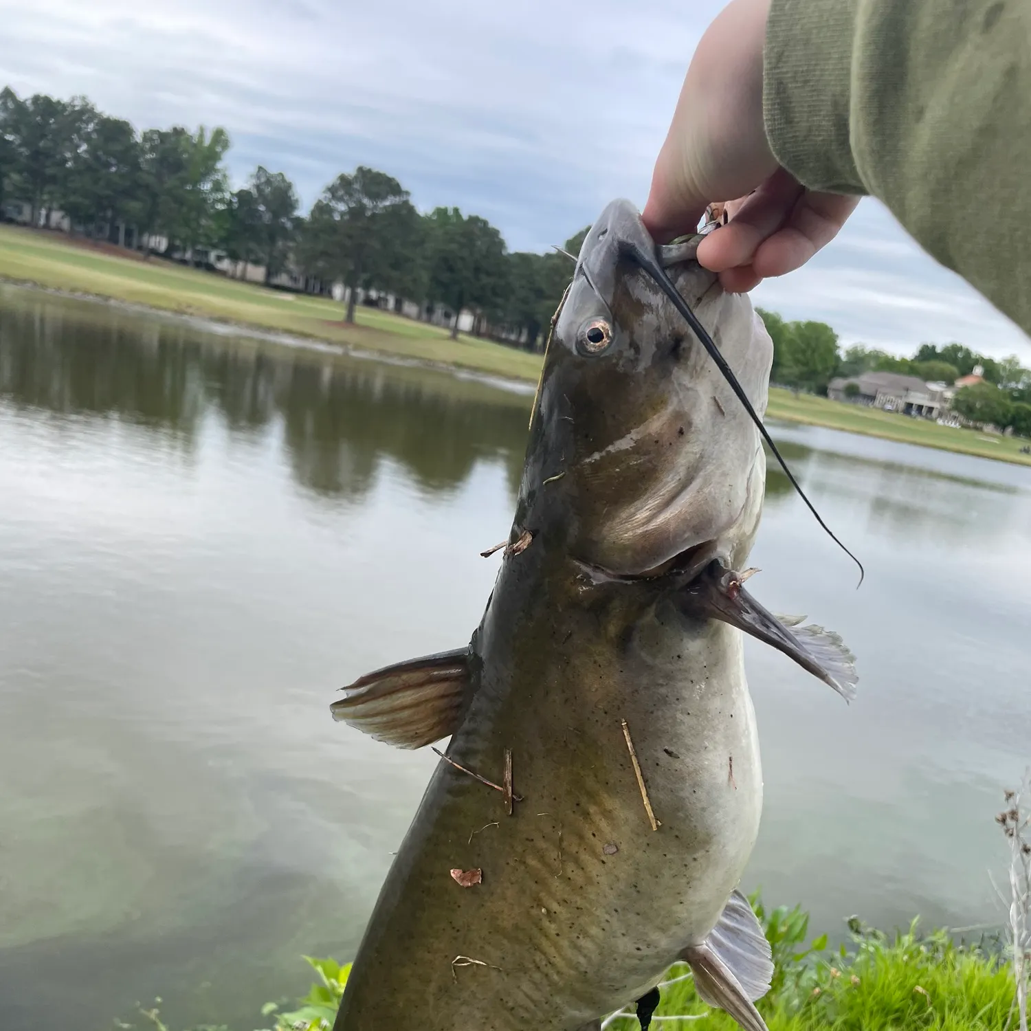 catch