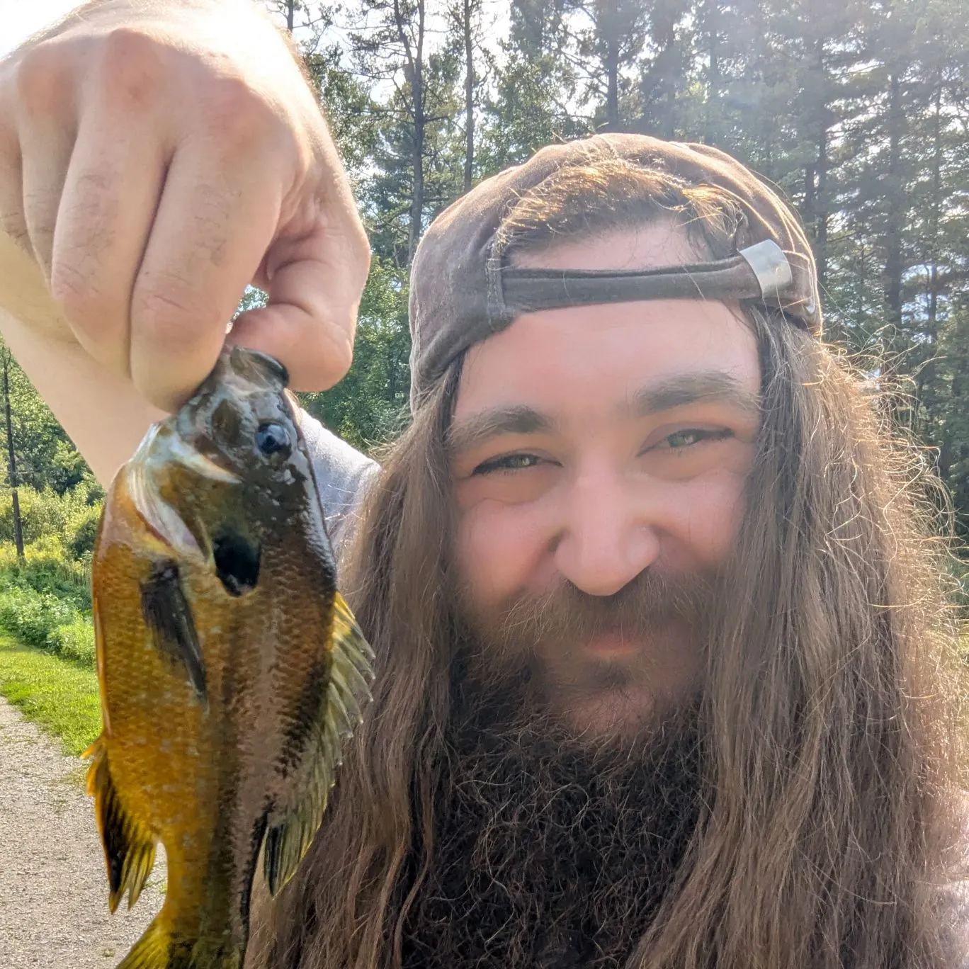 Bluegill caught on Fishbrain